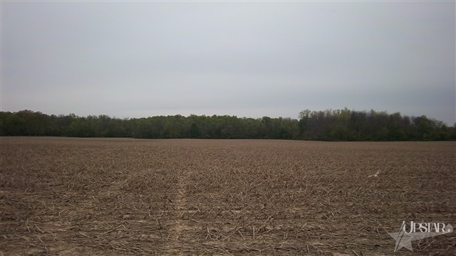 8307 West Washington Center Road Fort Wayne, IN 46818 - Photo 7 of 7 Gallery Image 7