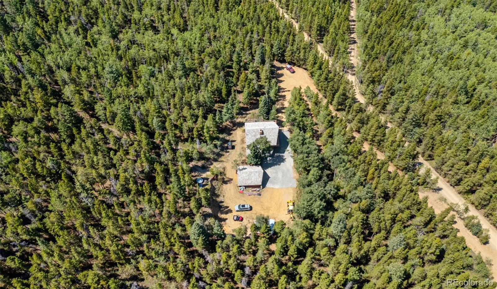 4316 Smith Hill Road Black Hawk, CO 80422 - Photo 43 of 48 a plant in a garden