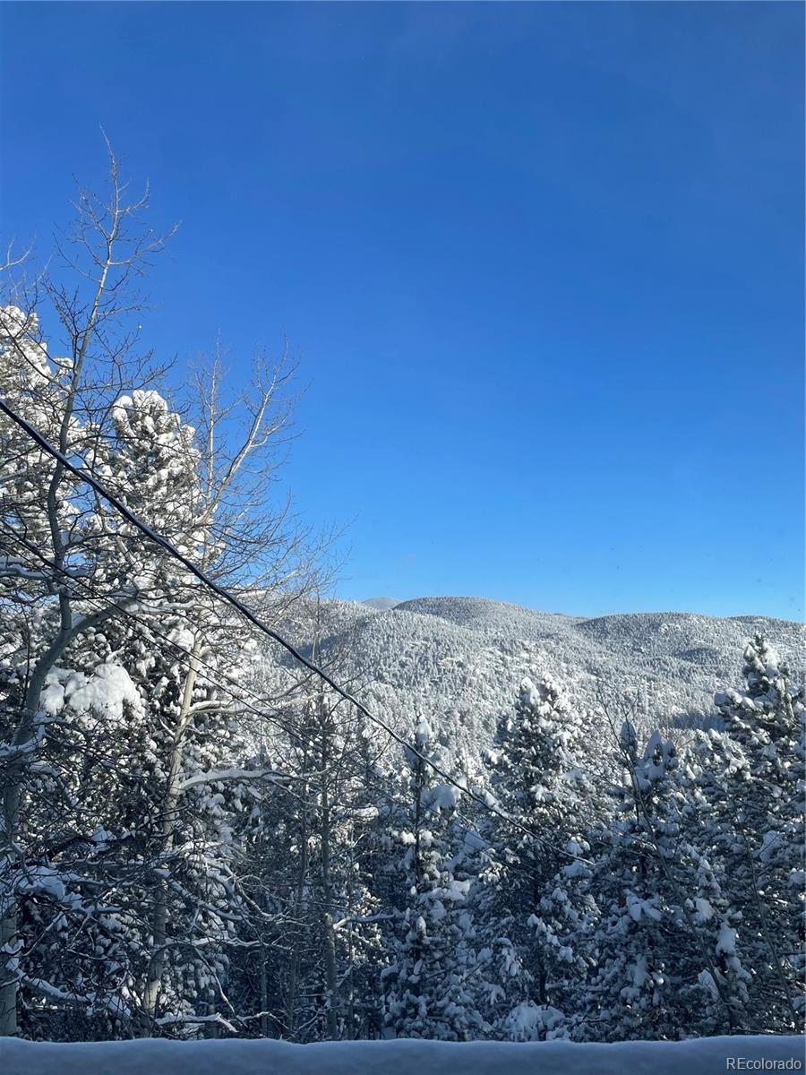 4316 Smith Hill Road Black Hawk, CO 80422 - Photo 47 of 48 a view of a dry yard with wooden fence