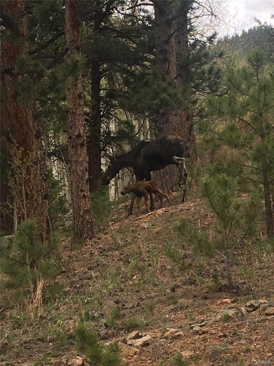 4316 Smith Hill Road Black Hawk, CO 80422 - Photo 48 of 48 a backyard of a house with table and chairs