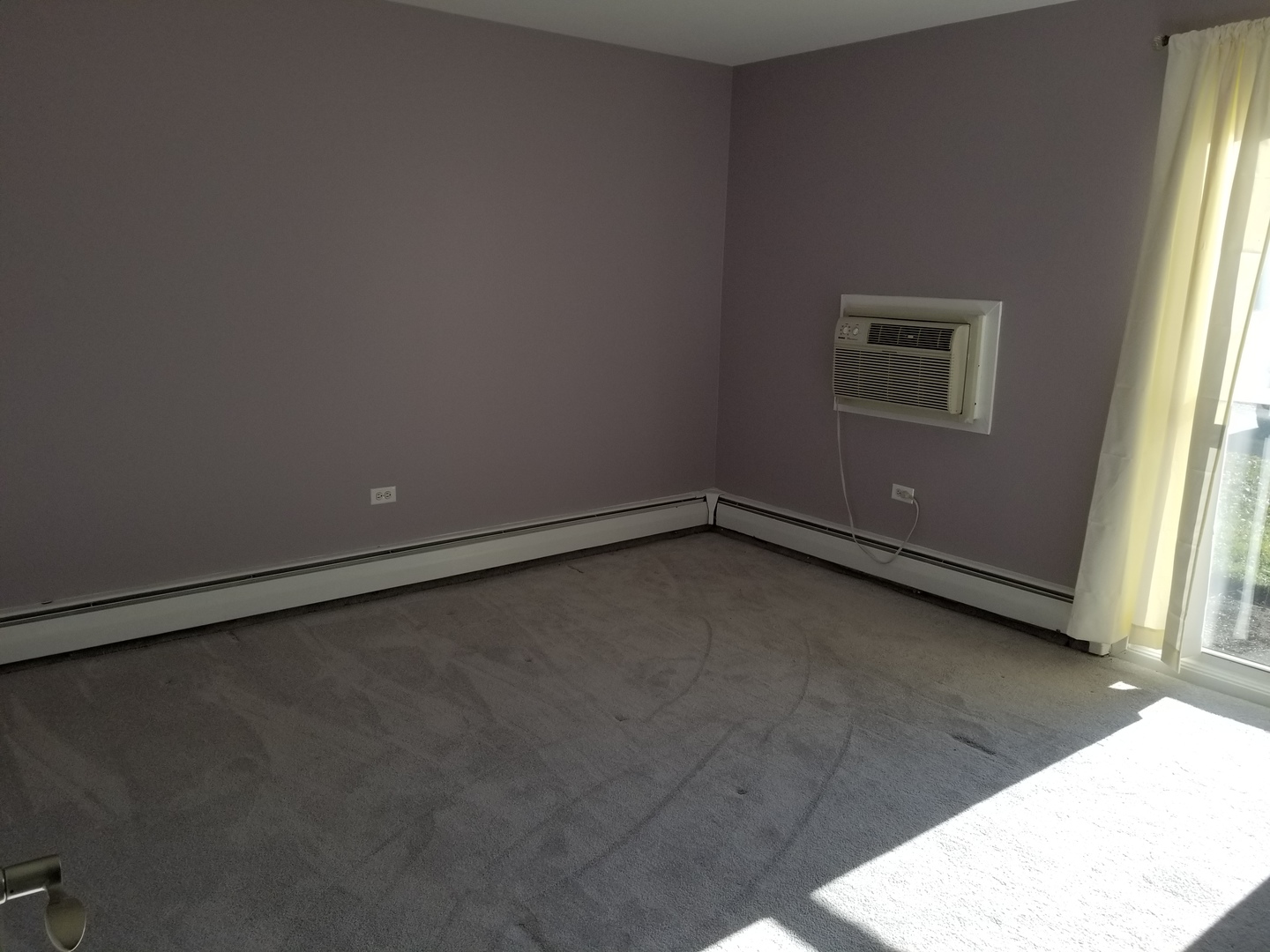 337 North Carter Street, Unit 104 Palatine, IL 60067 - Photo 6 of 7