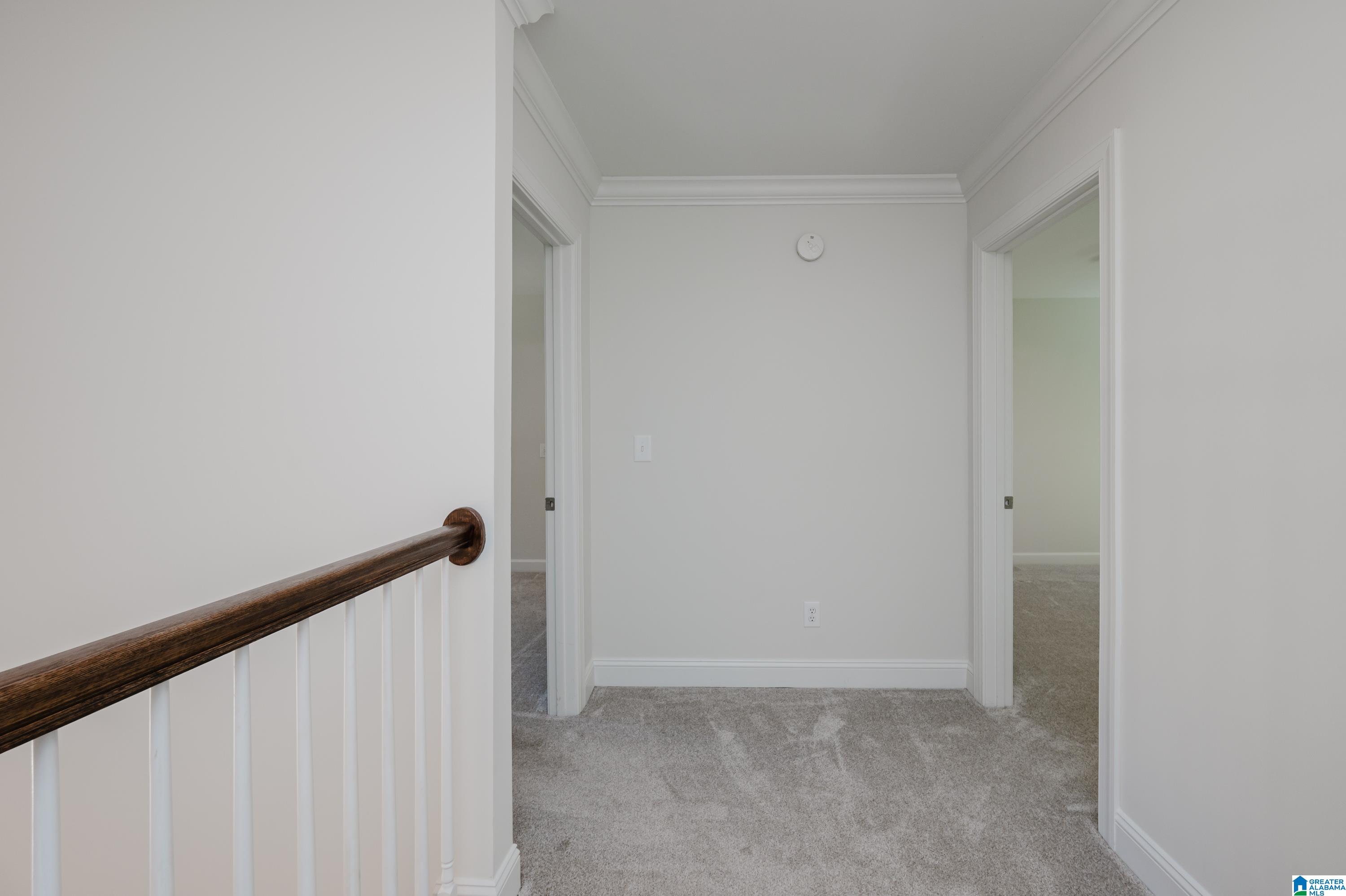 138 Overview Drive Sterrett, AL 35147 - Photo 43 of 66