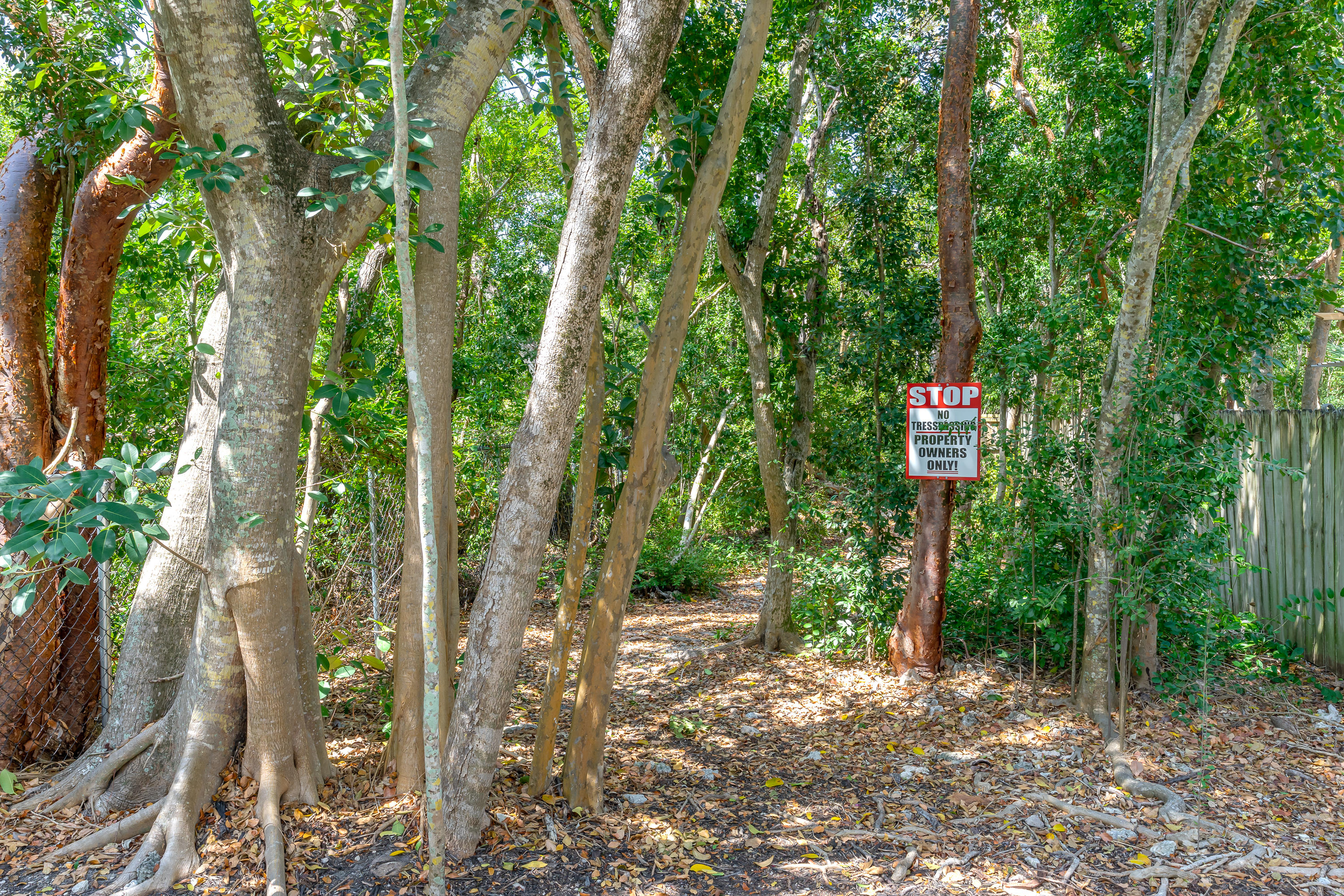 280 Key Honey Road Tavernier, FL 33070 - Photo 40 of 41 Water Access for Key Honey Owners