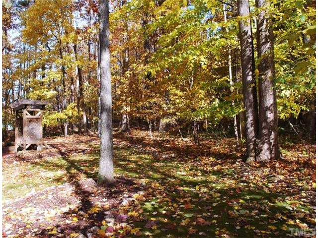 12325 Whartons Way Raleigh, NC 27613 - Photo 13 of 25 In this house, Mother Nature is your back door guest. Back Yard