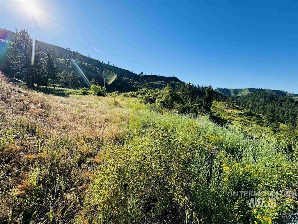 Tbd Lot #4 Beaverslide Road Kamiah, ID 83536 - Photo 17 of 17 Gallery Image 17