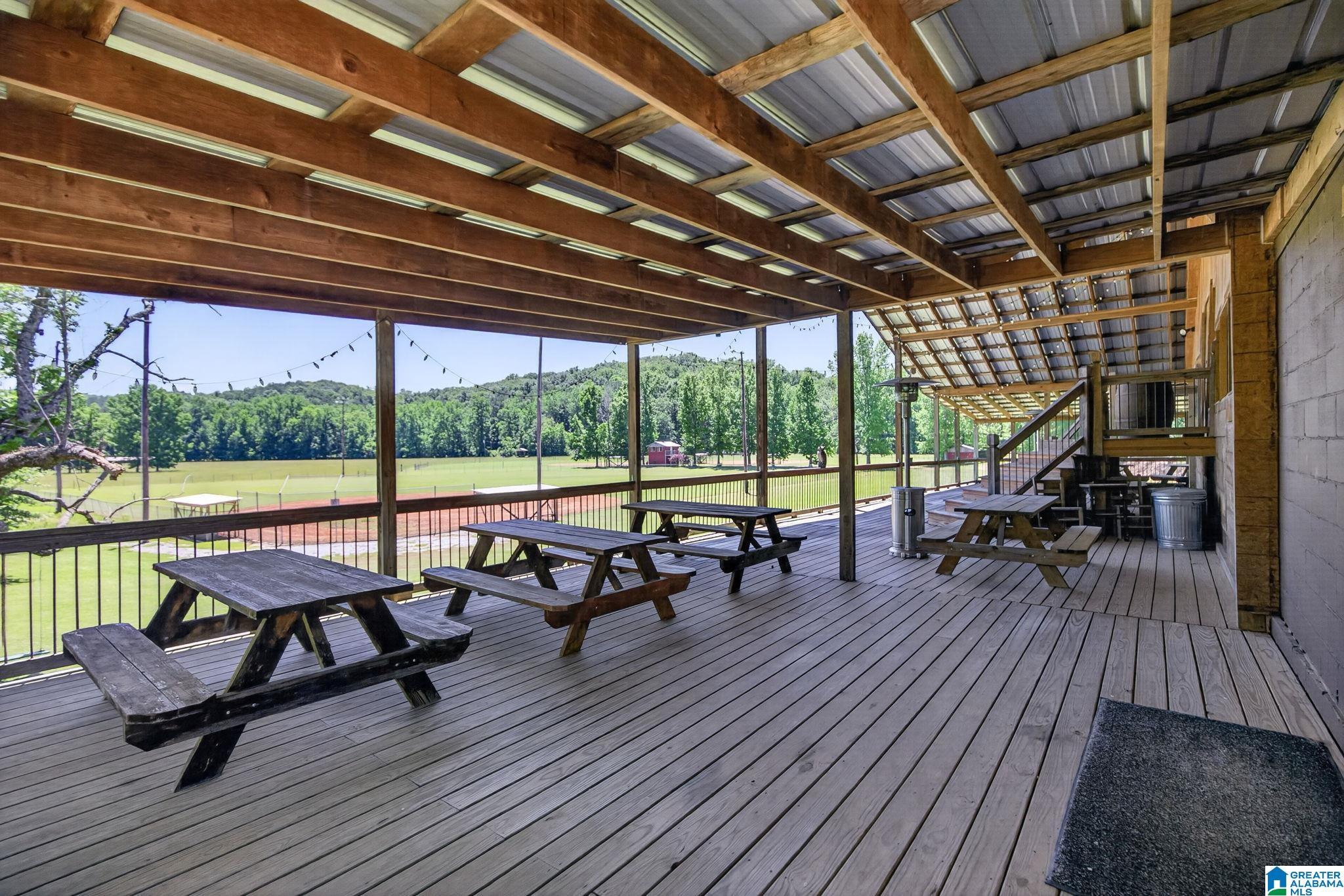 3463 County Road 3 Delta, AL 36258 - Photo 59 of 100