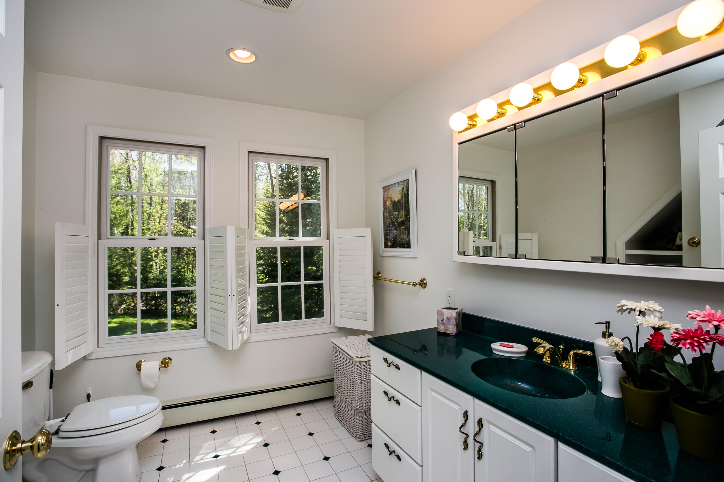 11355 Kings Point Road Alanson, MI 49706 - Photo 29 of 43 Gallery Image 29