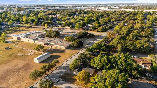 a view of a yard with plants and large trees