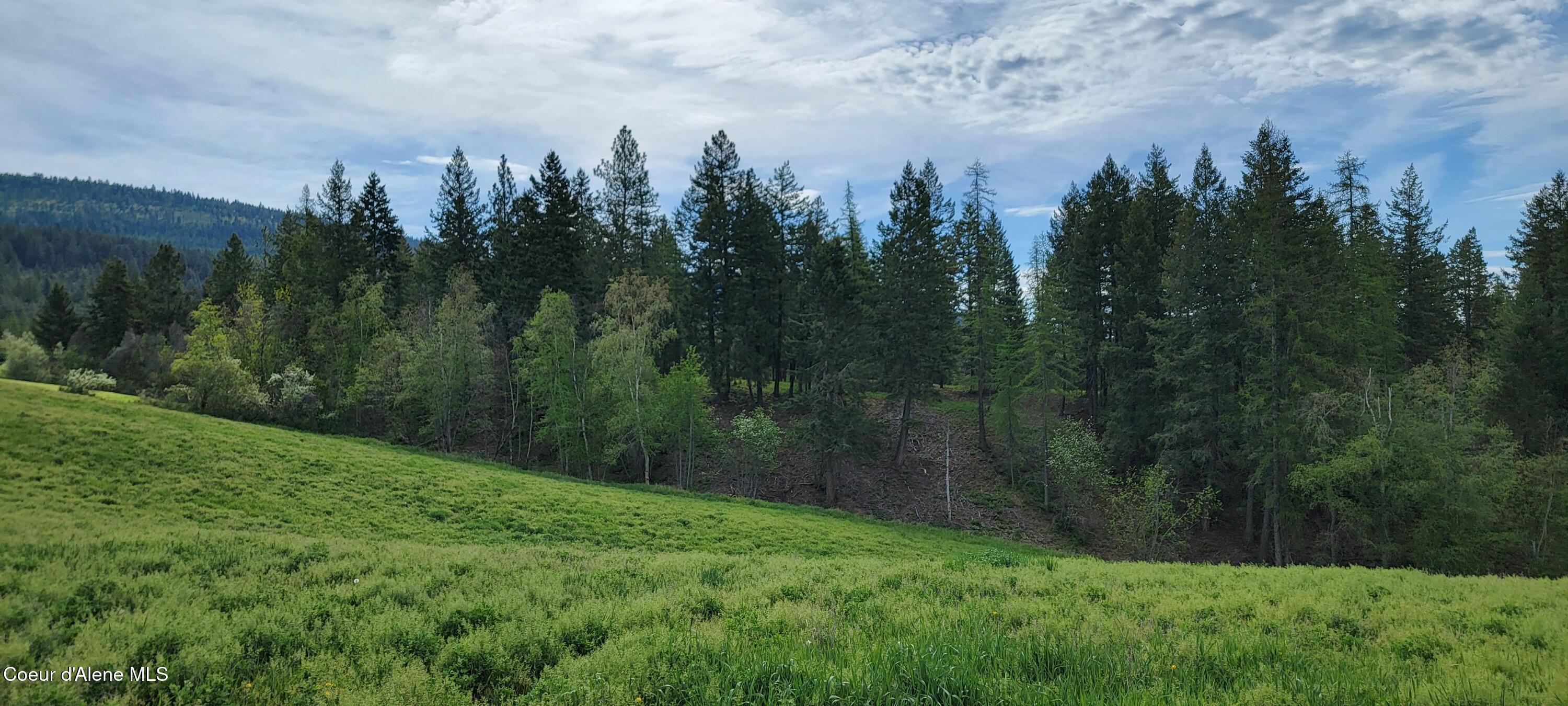 309 Pywell Road Bonners Ferry, ID 83805 - Photo 8 of 42 Hay Ground