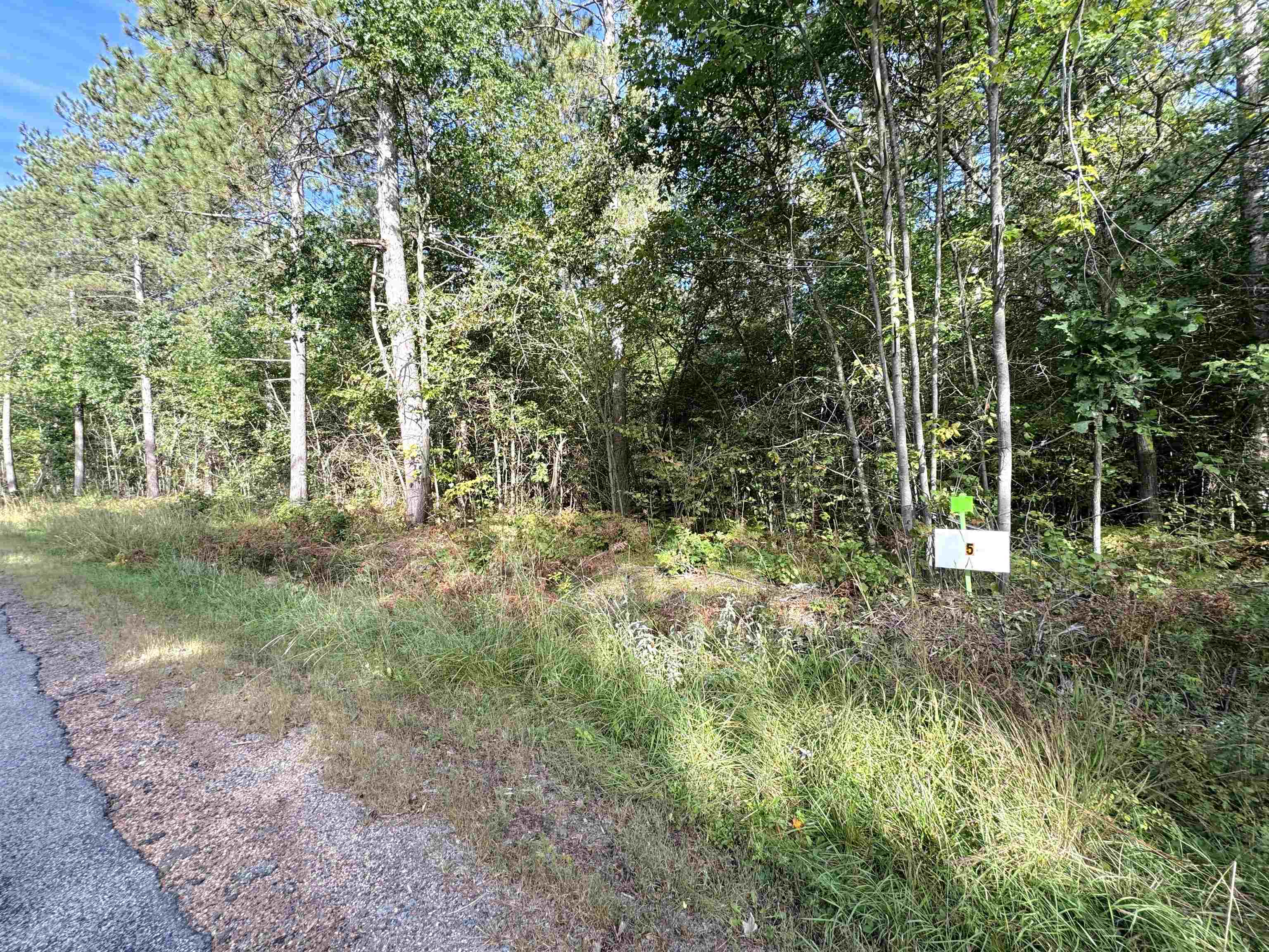 Lot 5 Scout Road Mosinee, WI 54455 - Photo 6 of 9 Gallery Image 6