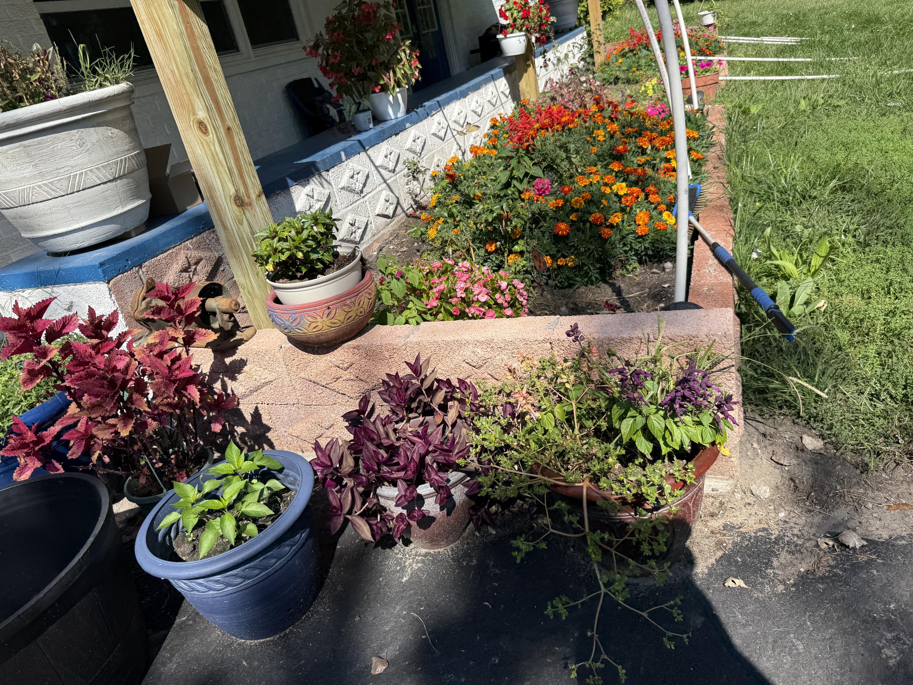 23180 Whitcomb Street Lowell, IN 46356 - Photo 18 of 22 a bunch of flowers are in a garden