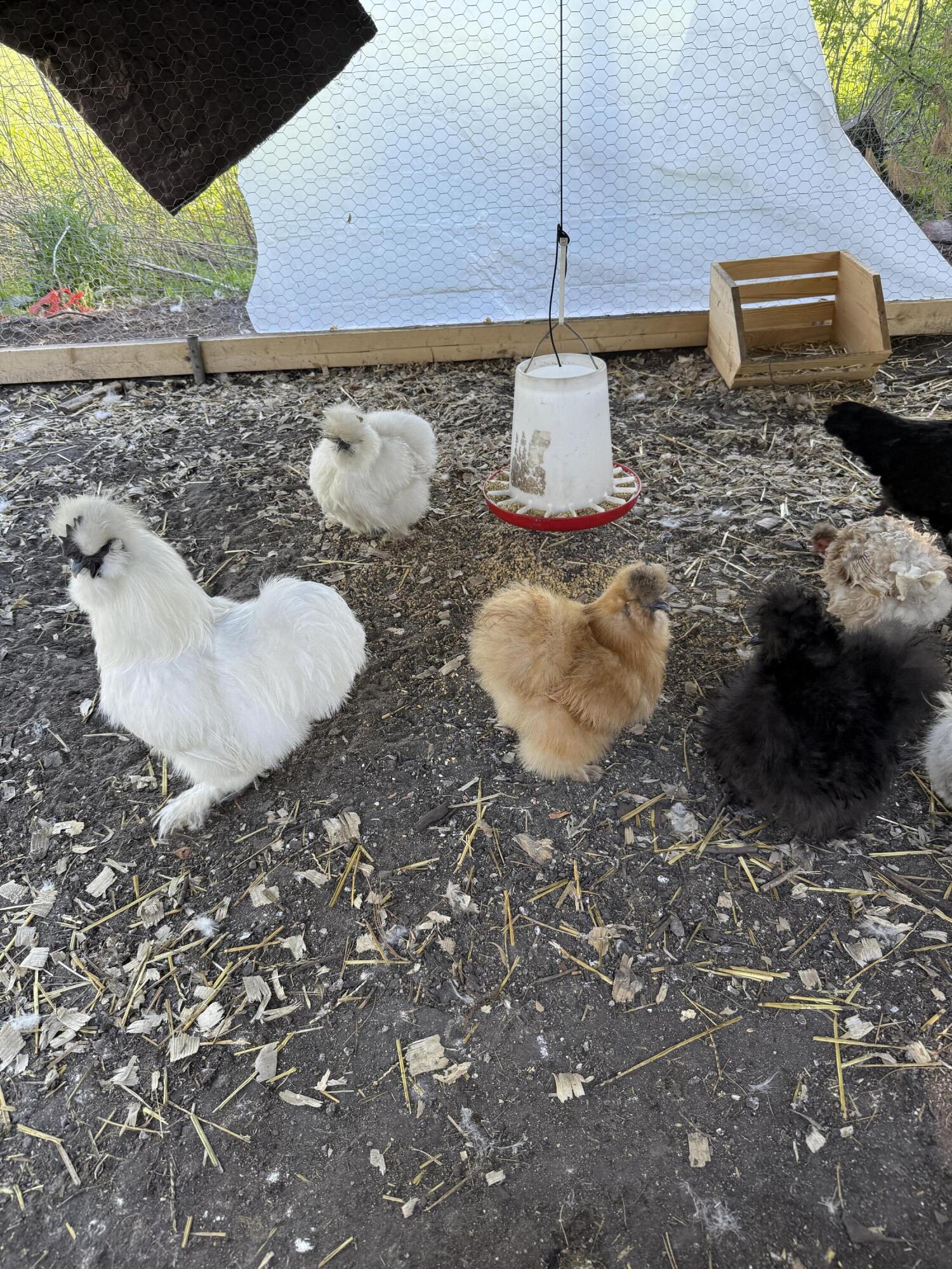 23180 Whitcomb Street Lowell, IN 46356 - Photo 22 of 22 a bathroom with a sink and a mirror