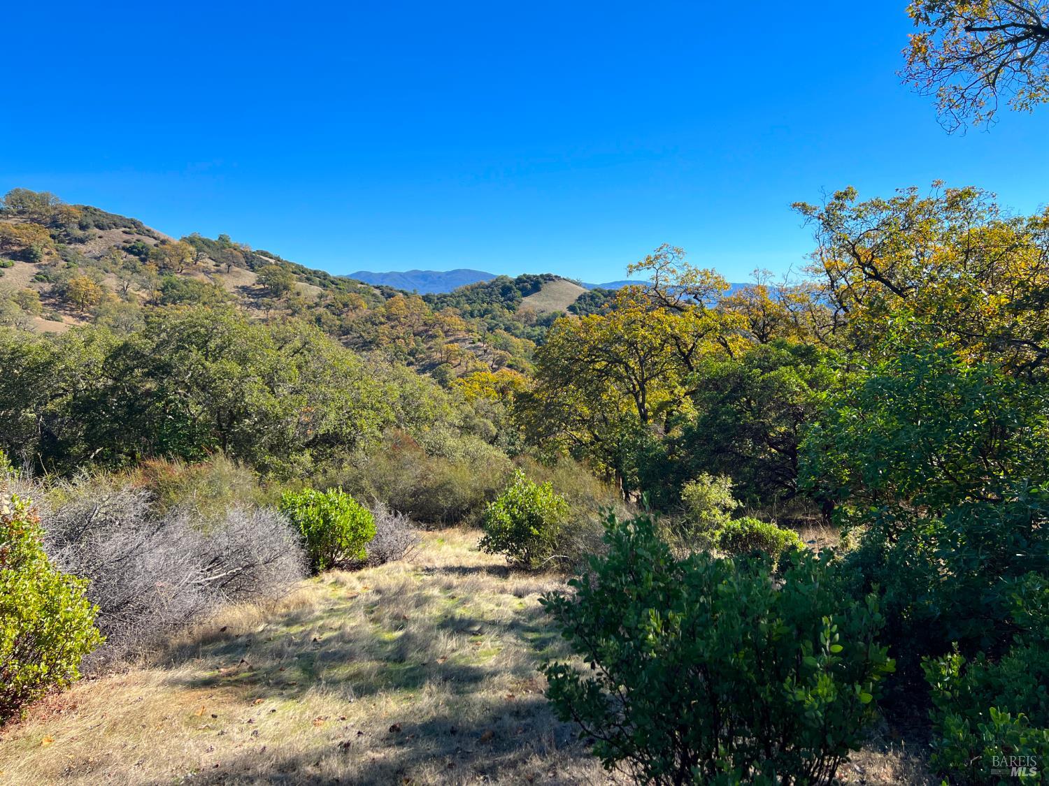 5290 Butler Ranch Road Ukiah, CA 95482 - Photo 12 of 16 a view of a houses with a forest
