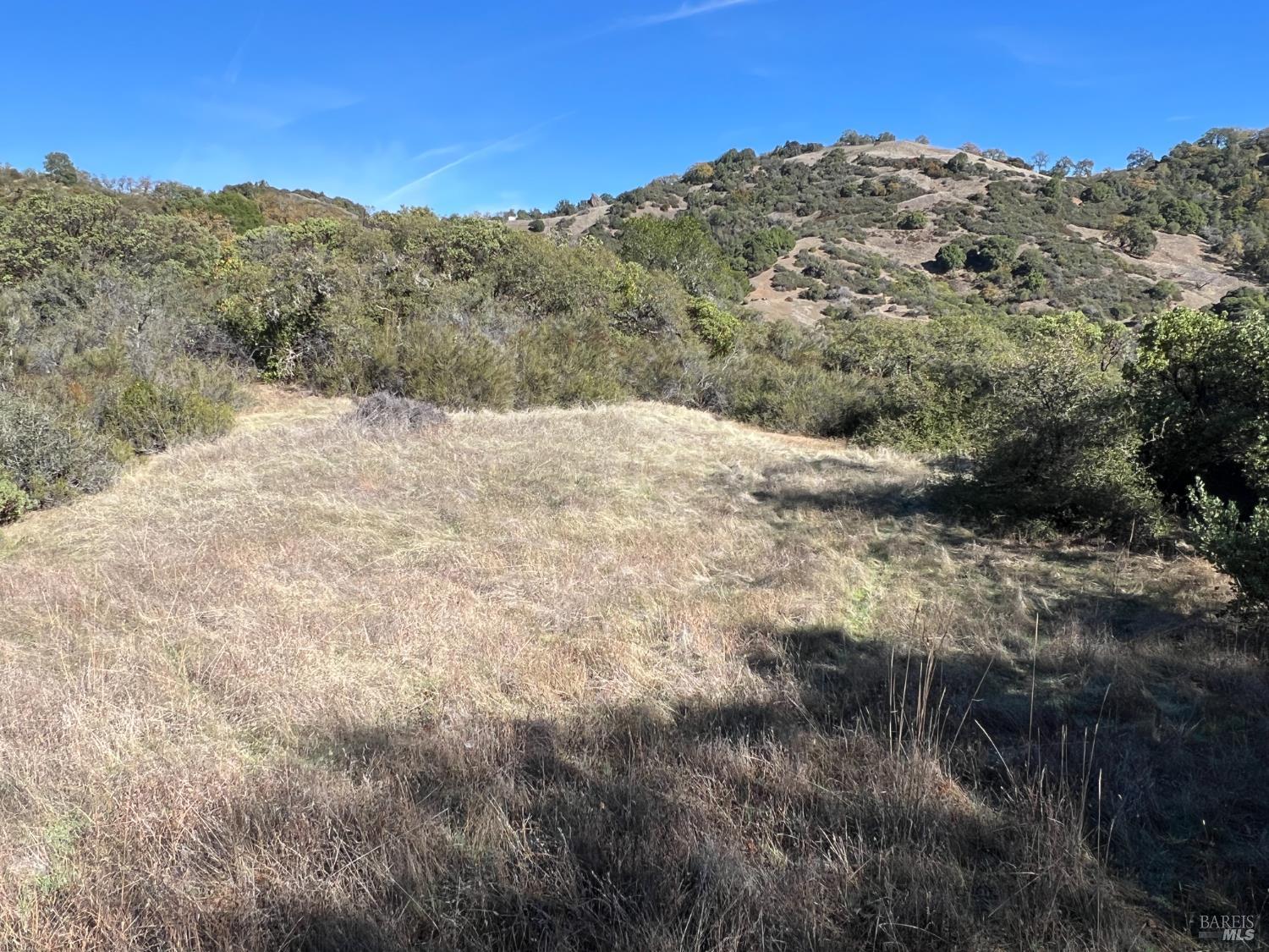 5290 Butler Ranch Road Ukiah, CA 95482 - Photo 15 of 16 a view of a dry yard with mountains in the background