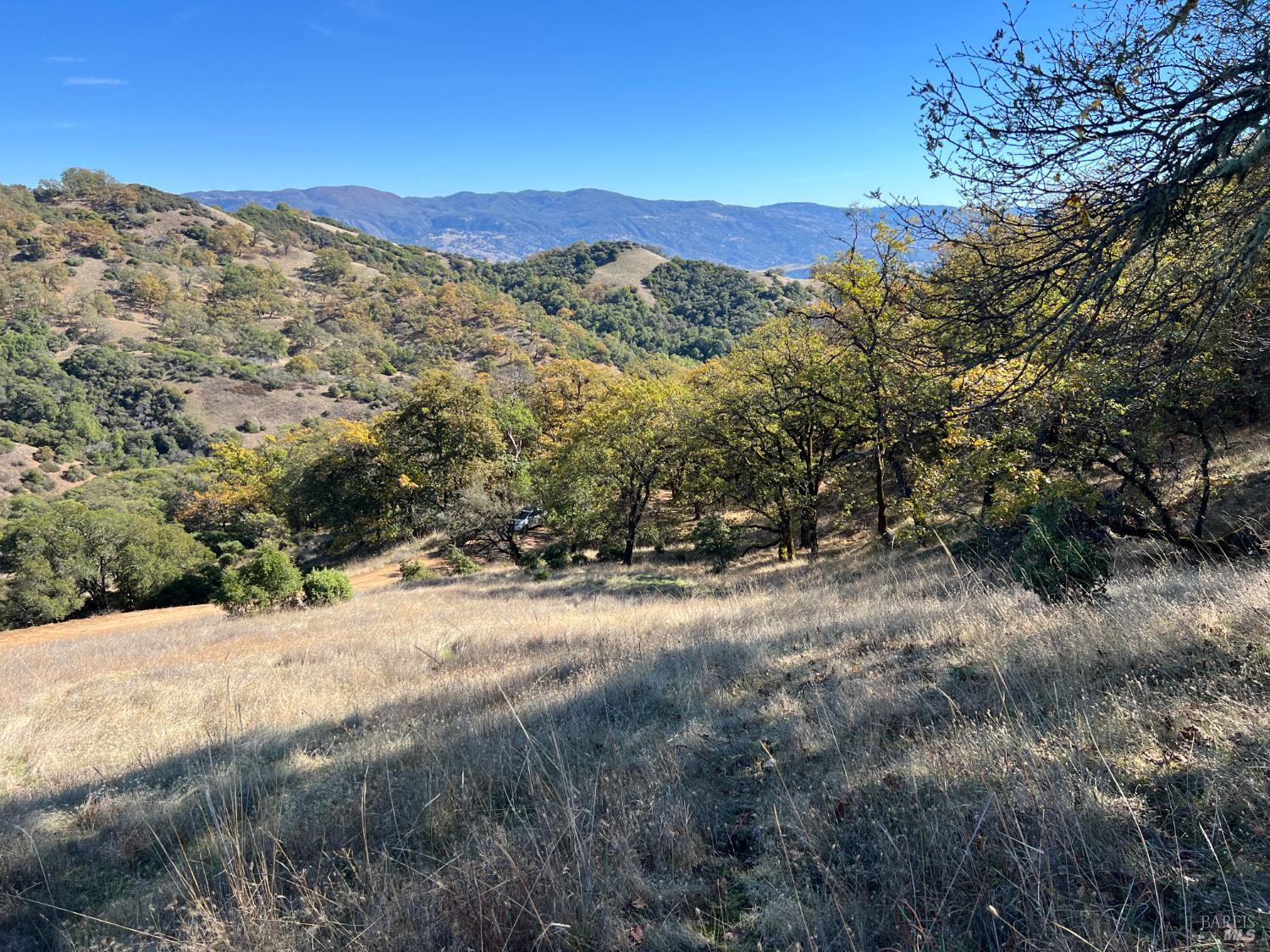 5290 Butler Ranch Road Ukiah, CA 95482 - Photo 16 of 16 a view of a yard with a tree