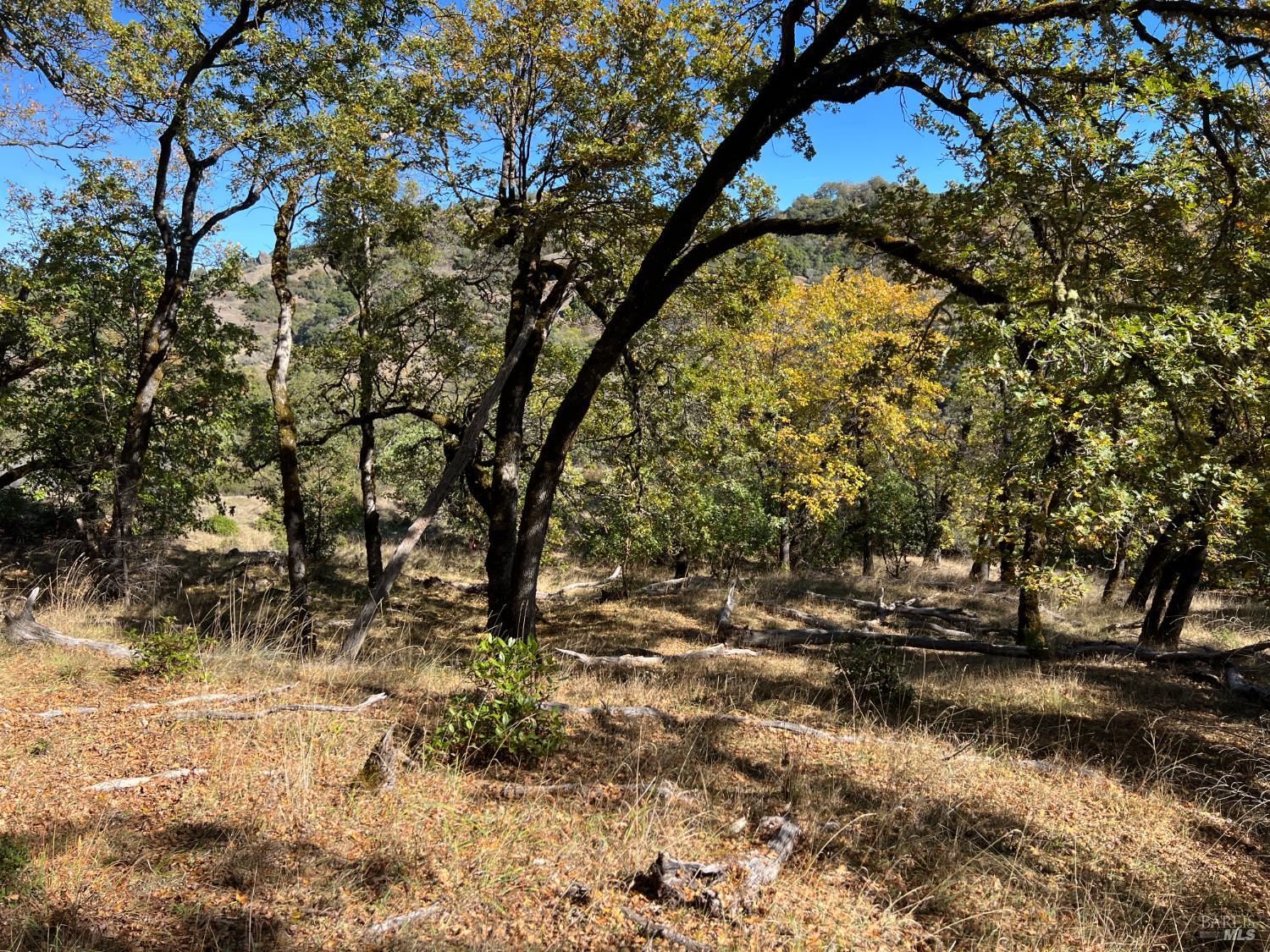 5290 Butler Ranch Road Ukiah, CA 95482 - Photo 4 of 16 a view of swimming pool with a yard