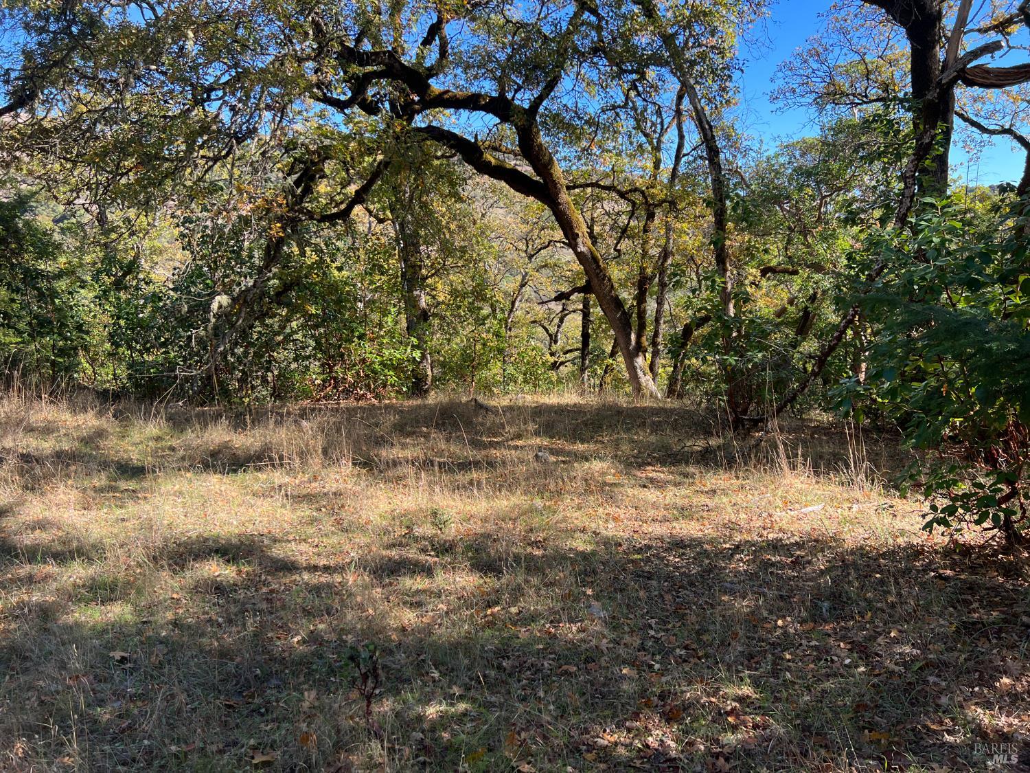 5290 Butler Ranch Road Ukiah, CA 95482 - Photo 7 of 16 a view of water with a tree