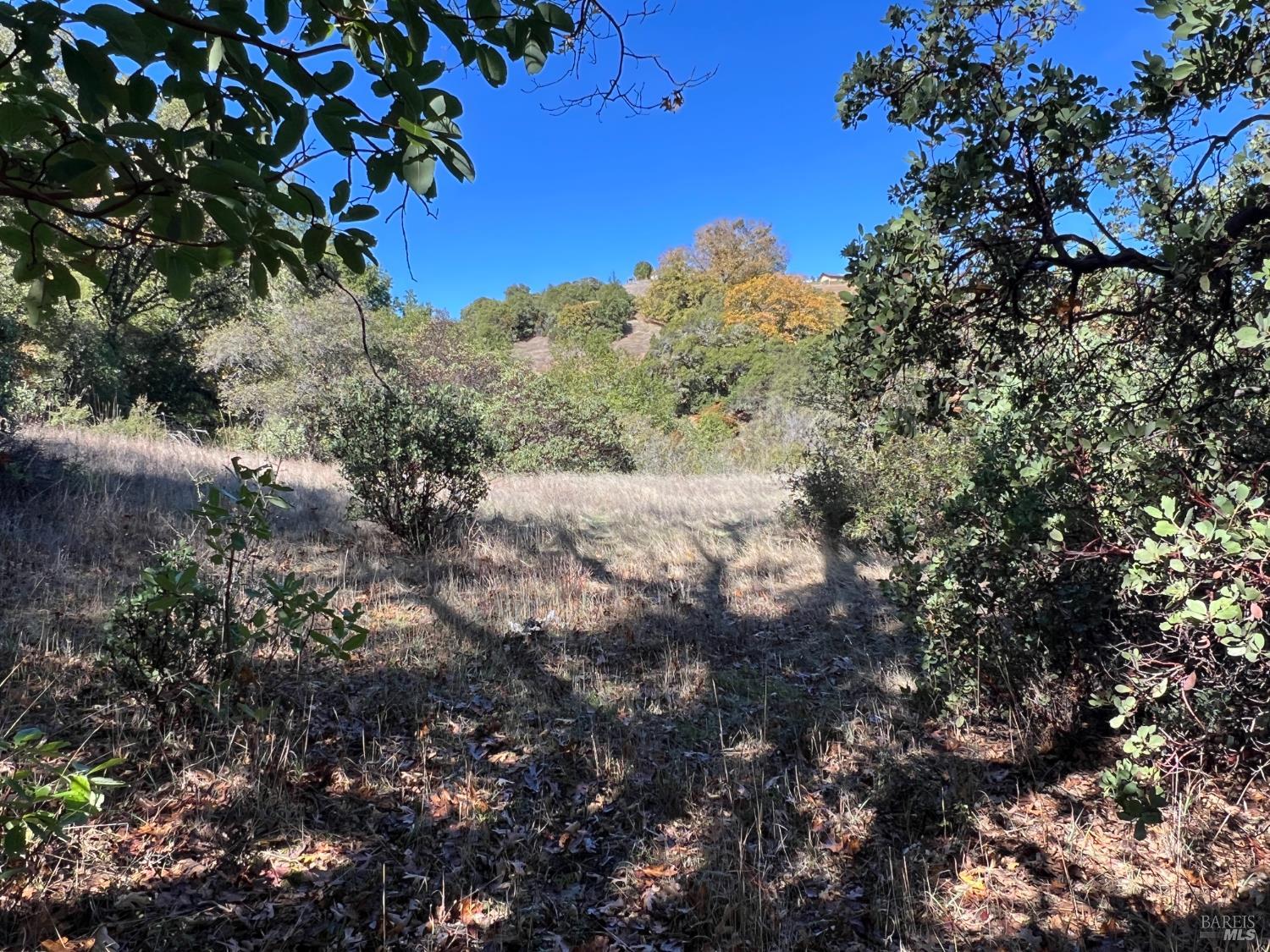 5290 Butler Ranch Road Ukiah, CA 95482 - Photo 8 of 16 a view of a tree