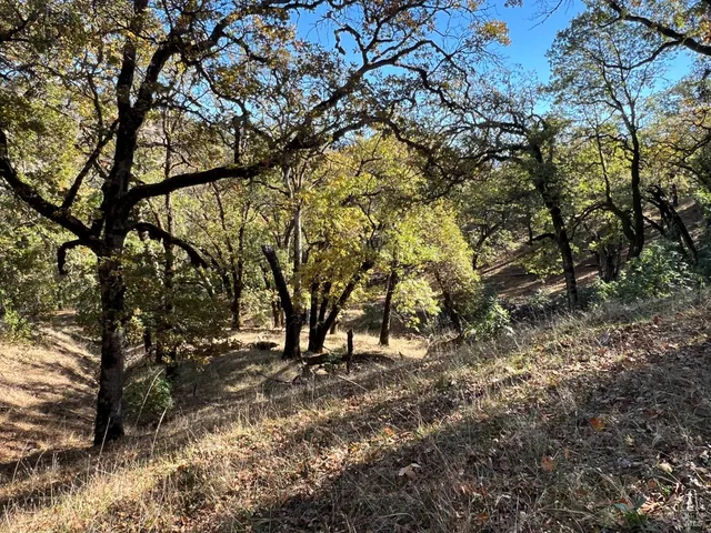a view of outdoor space with trees