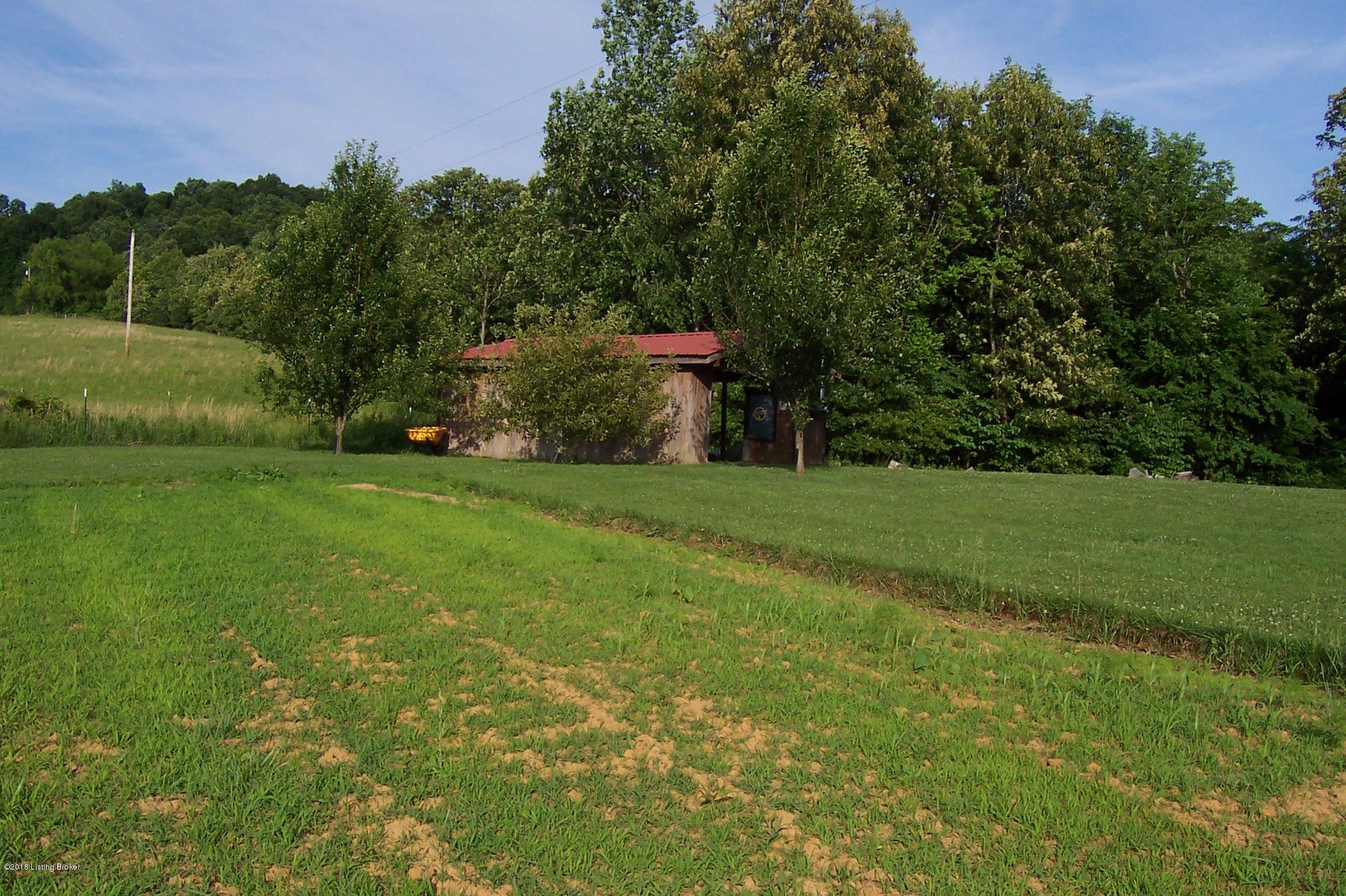 9628 Owensboro Road Falls Of Rough, KY 40119 - Photo 5 of 25 100_6668