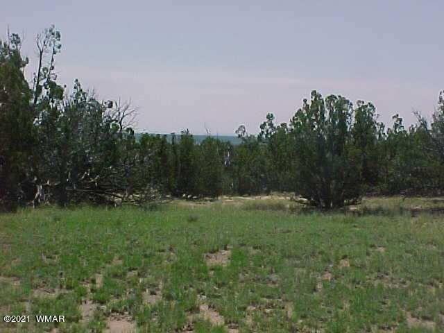 St-johns Az 85936 Ranch St. Johns, AZ 85936 - Photo 3 of 6