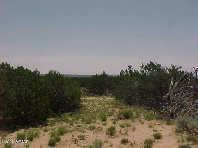 St-johns Az 85936 Ranch St. Johns, AZ 85936 - Photo 4 of 6