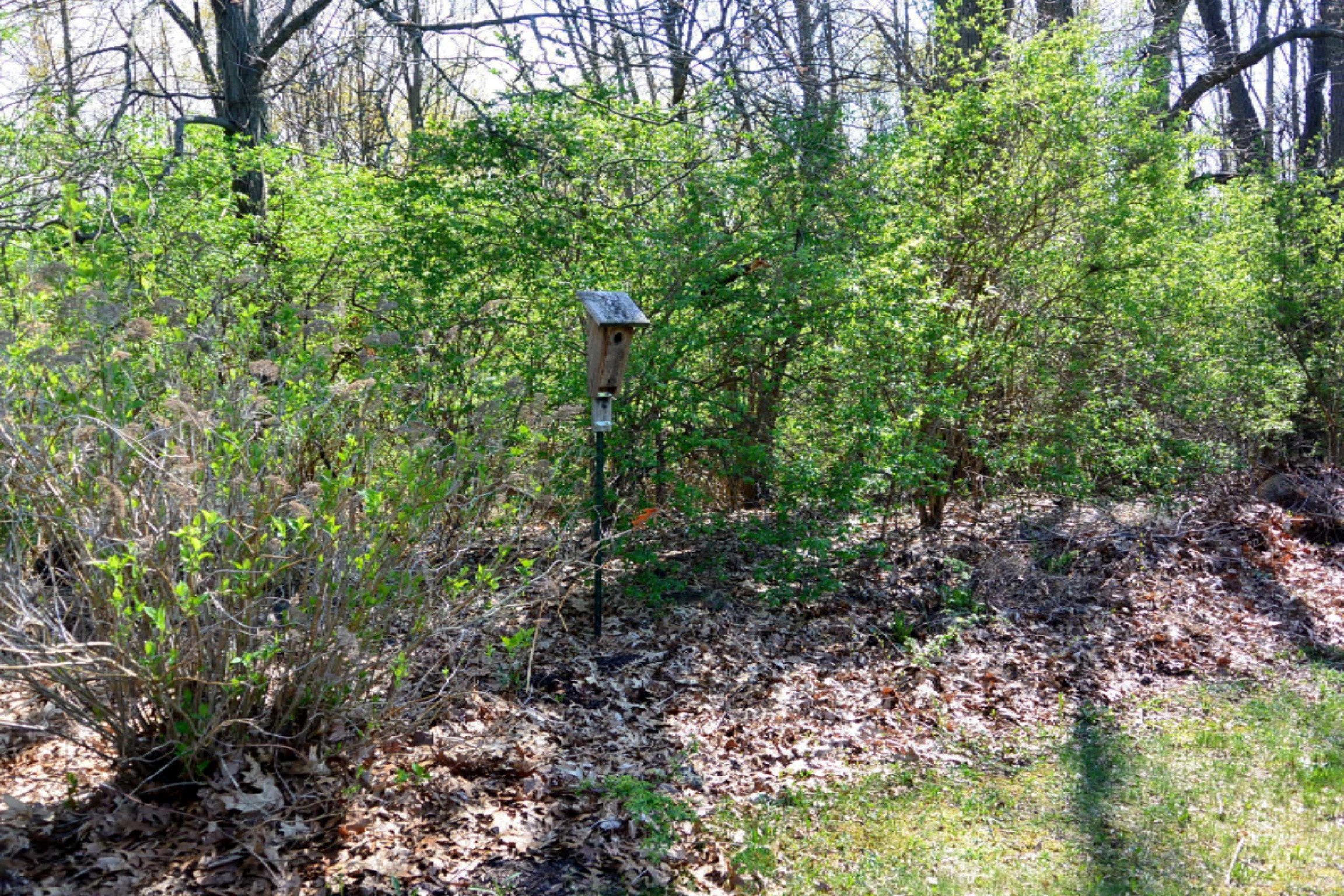 1635 Weaver Road Niles, MI 49120 - Photo 36 of 50 Weaver Rd 043