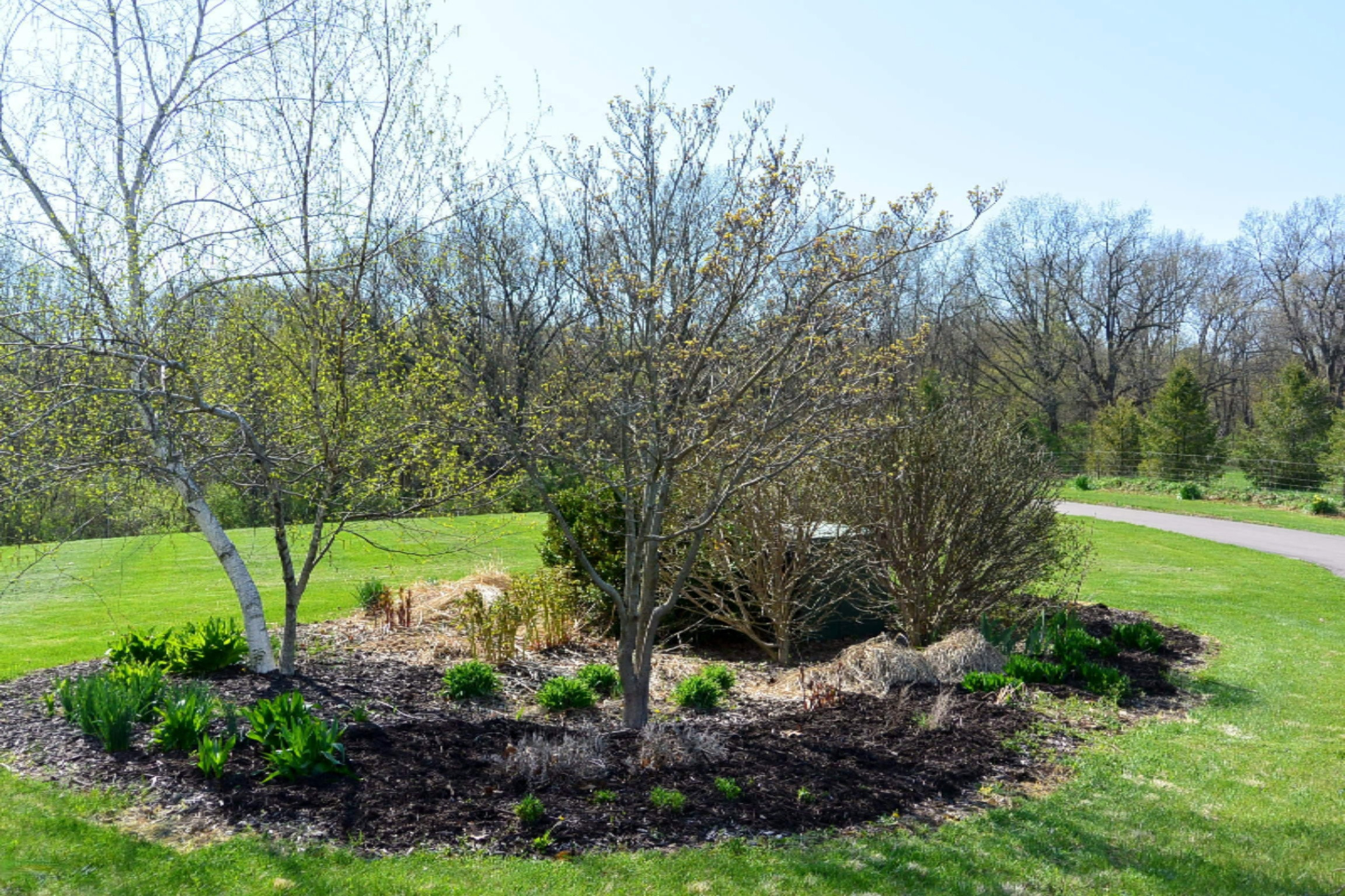 1635 Weaver Road Niles, MI 49120 - Photo 43 of 50 Weaver Rd 062