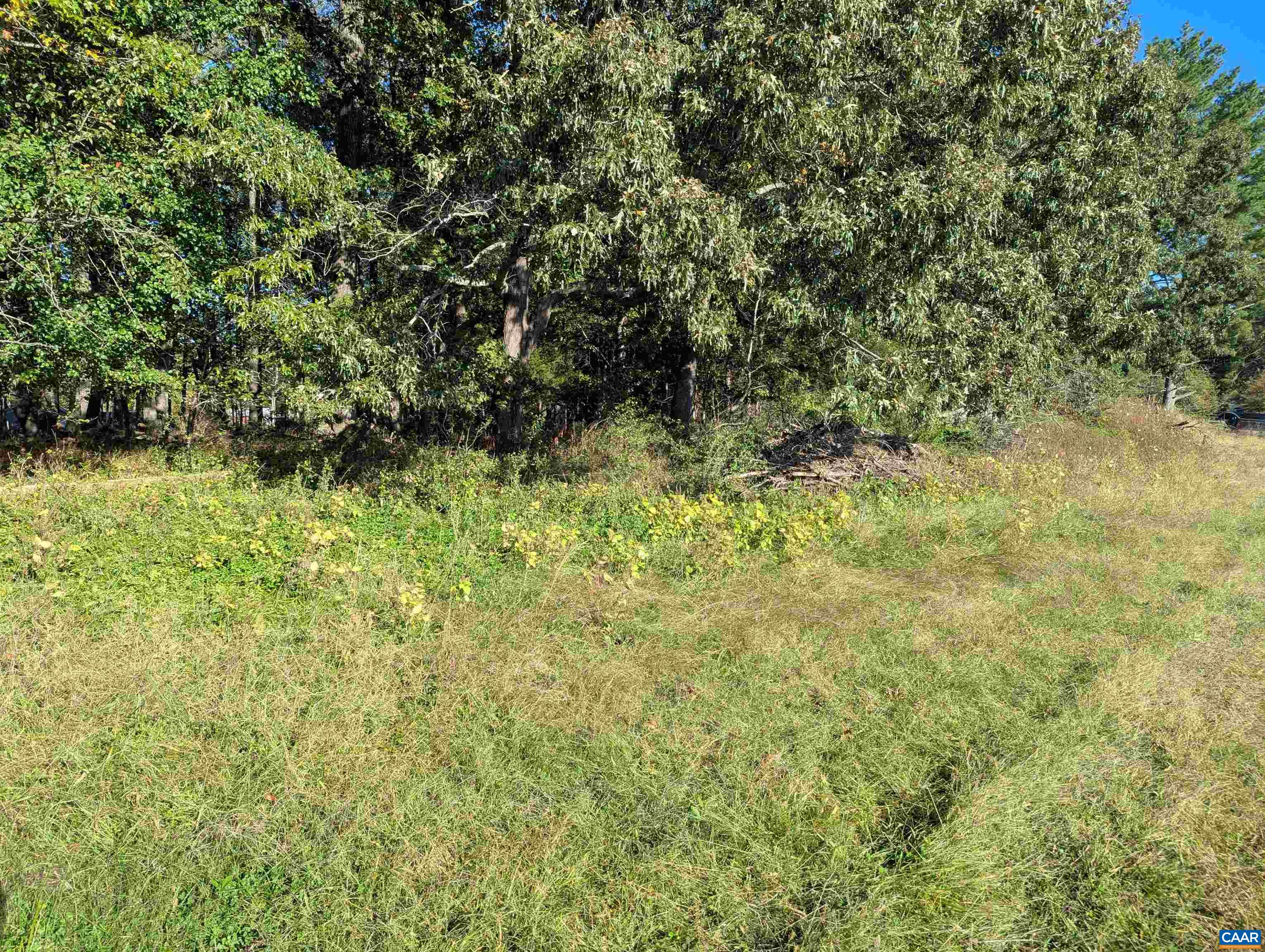 Lot 1 Advance Mills Road Ruckersville, VA 22968 - Photo 11 of 15 Gallery Image 11