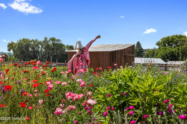 a view of a house with a yard and plants