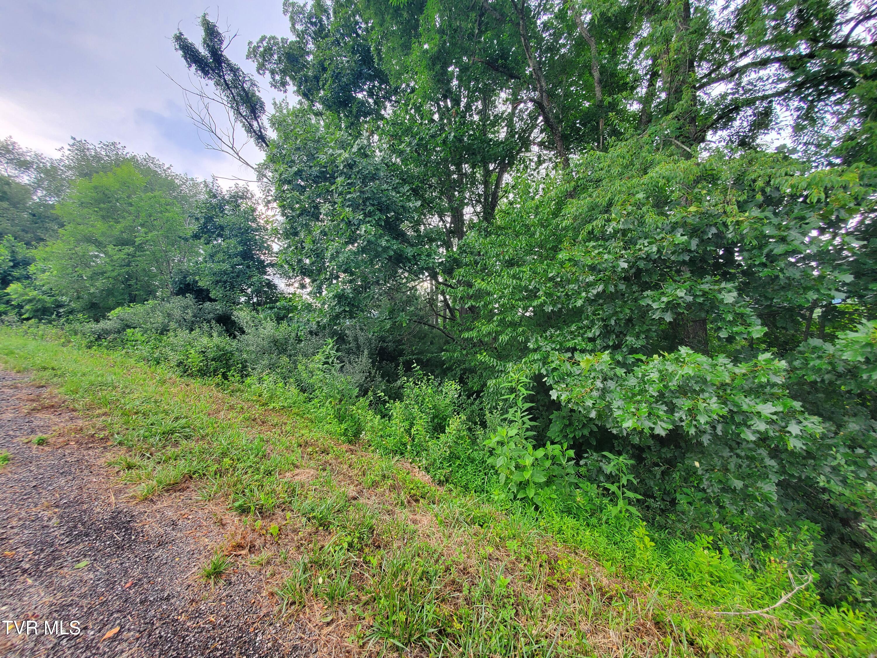 35 Dry Hill Road, Unit 35 Butler, TN 37640 - Photo 11 of 12 20250626_121122