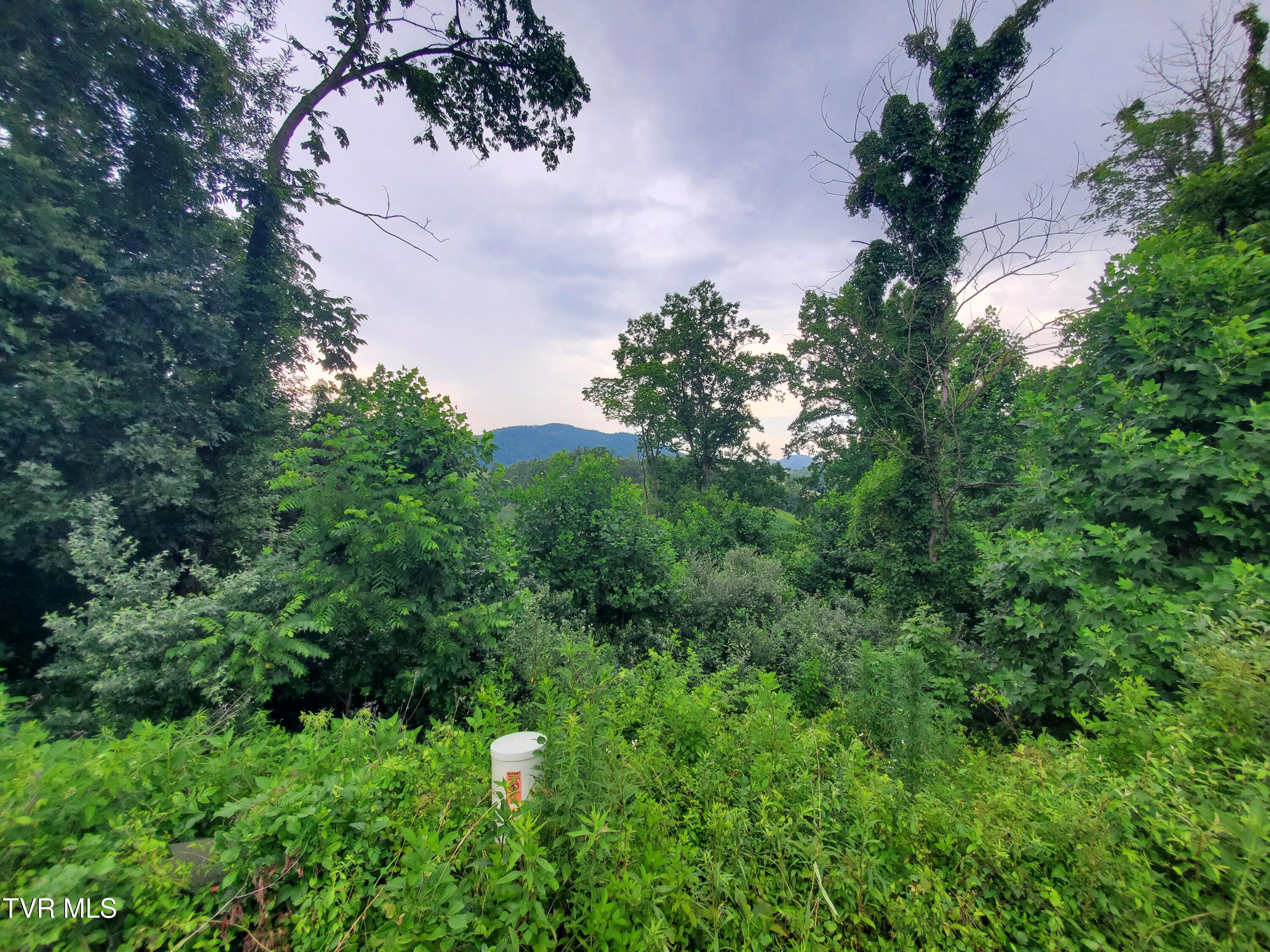 35 Dry Hill Road, Unit 35 Butler, TN 37640 - Photo 2 of 12 20250626_121050