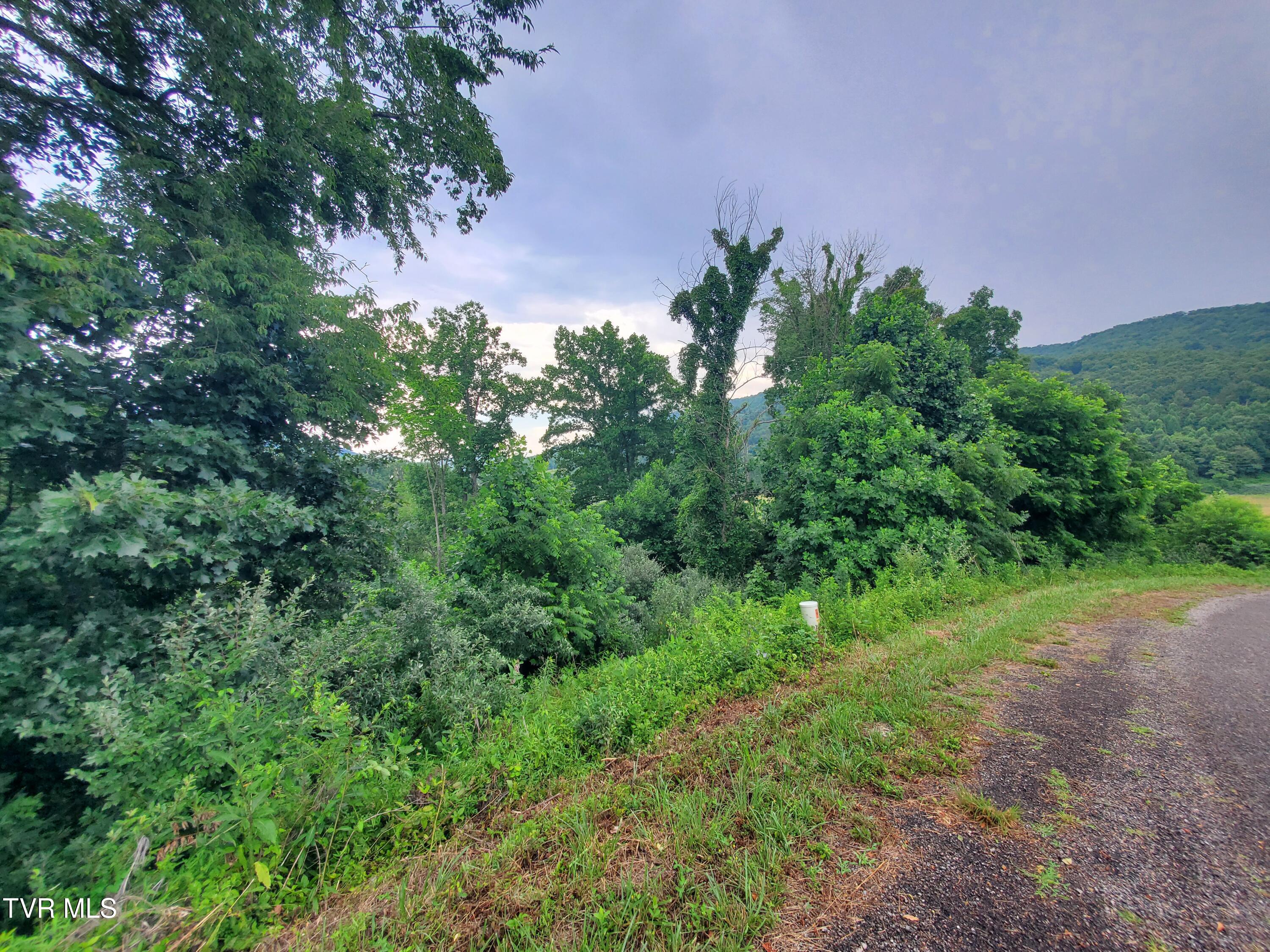 35 Dry Hill Road, Unit 35 Butler, TN 37640 - Photo 3 of 12 20250626_121118