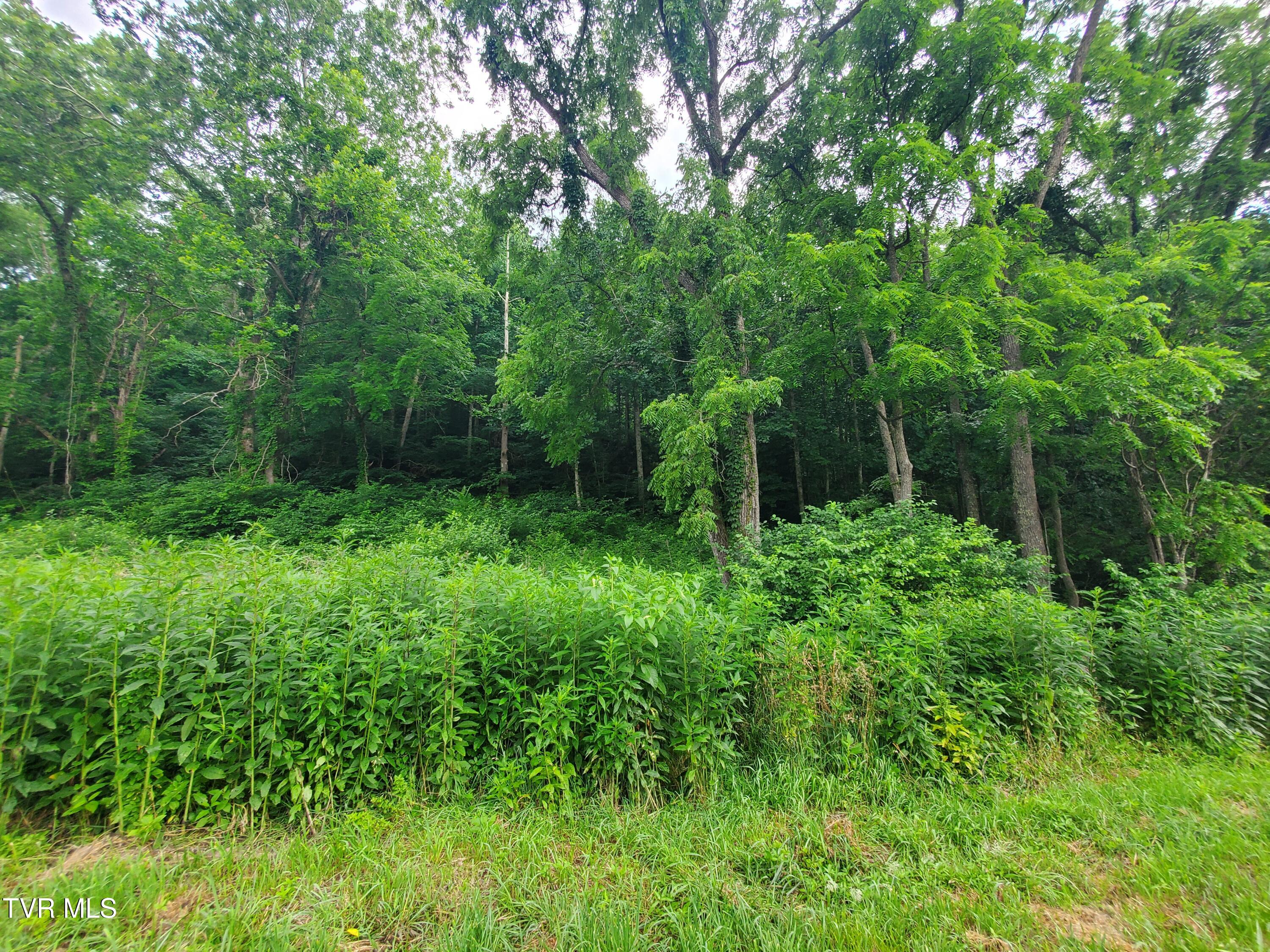 35 Dry Hill Road, Unit 35 Butler, TN 37640 - Photo 6 of 12 20250626_120526