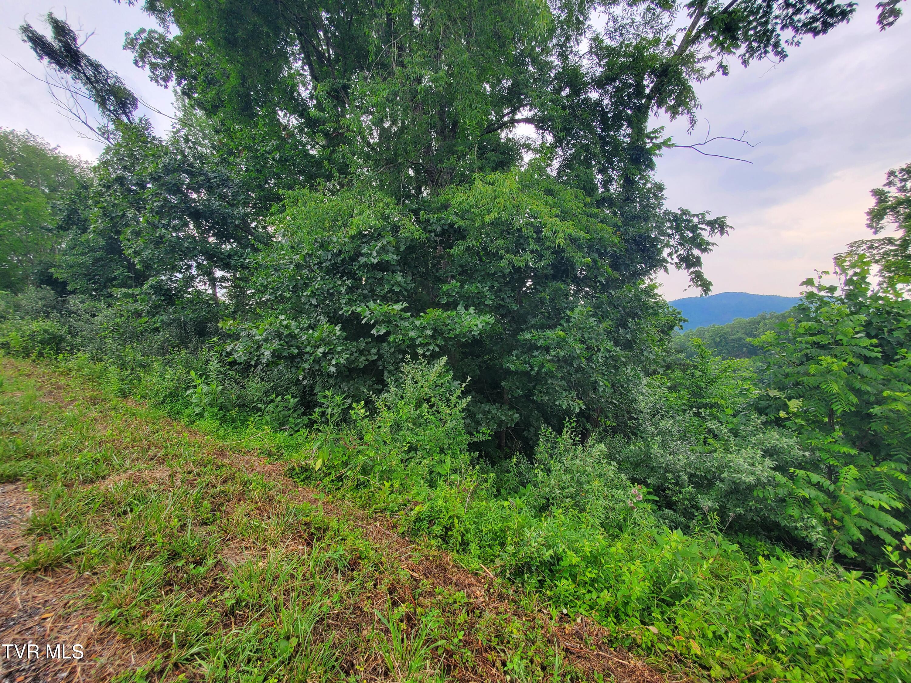 35 Dry Hill Road, Unit 35 Butler, TN 37640 - Photo 7 of 12 20250626_121108