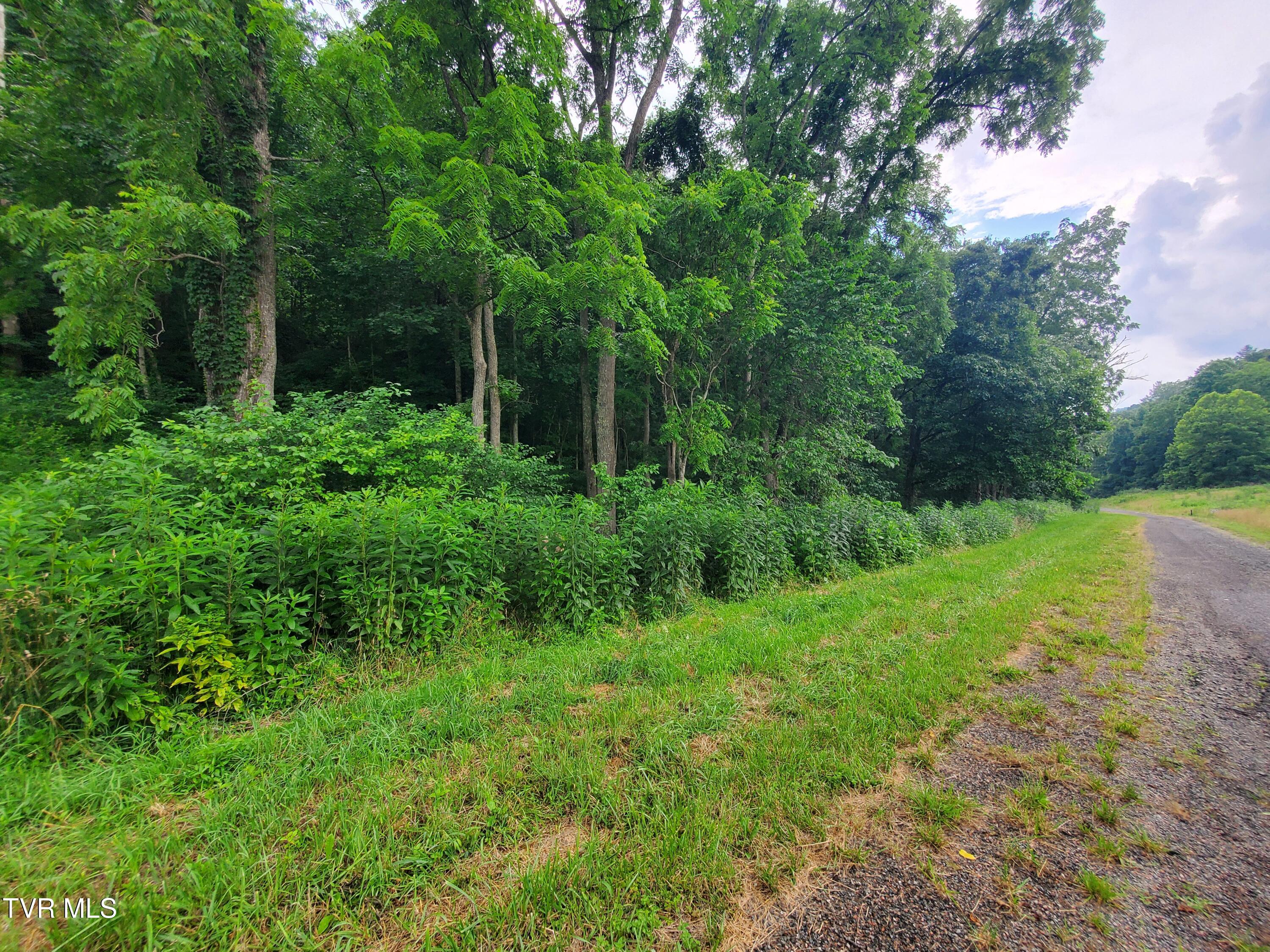 35 Dry Hill Road, Unit 35 Butler, TN 37640 - Photo 8 of 12 20250626_120510