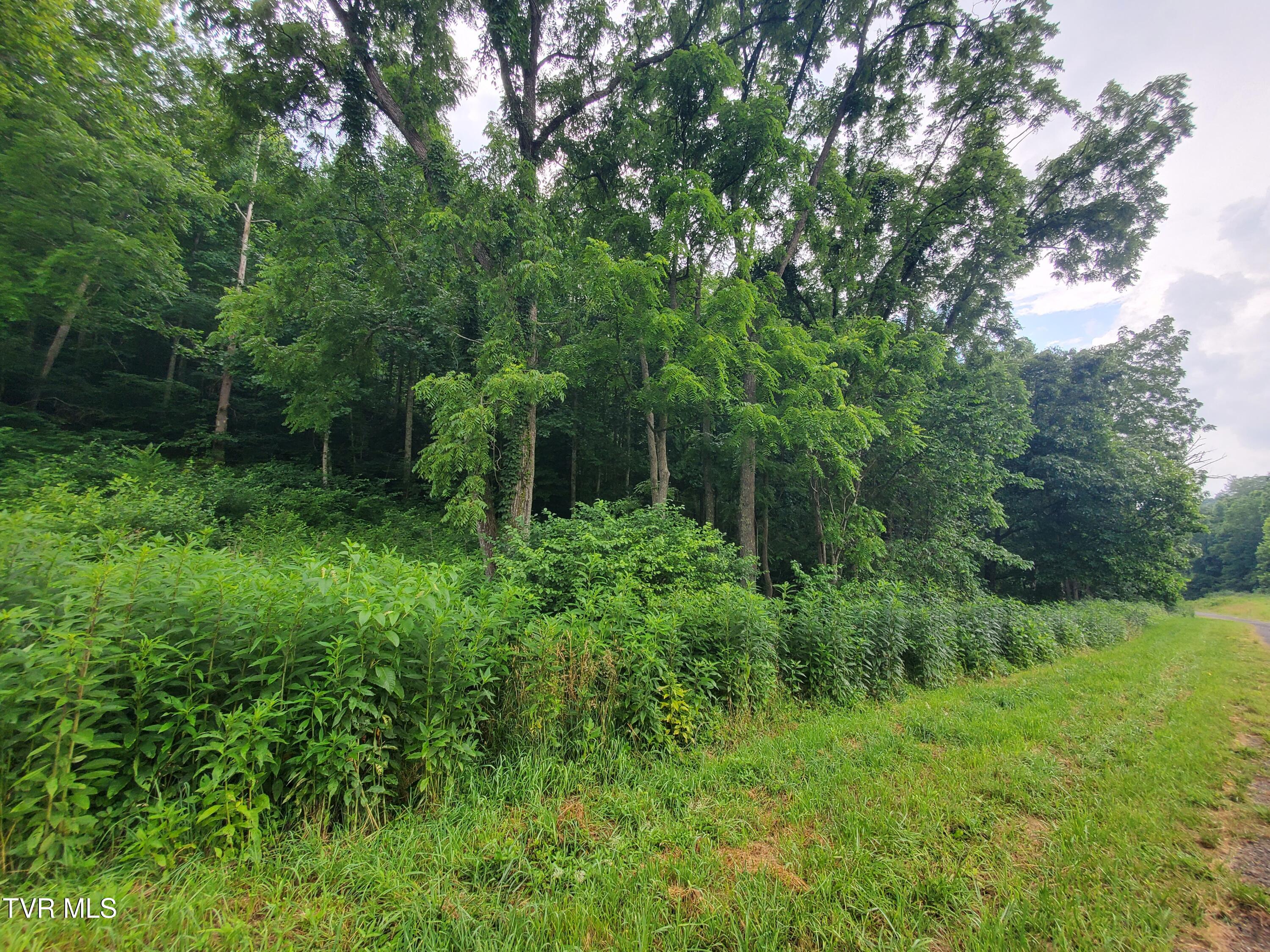 35 Dry Hill Road, Unit 35 Butler, TN 37640 - Photo 9 of 12 20250626_120531