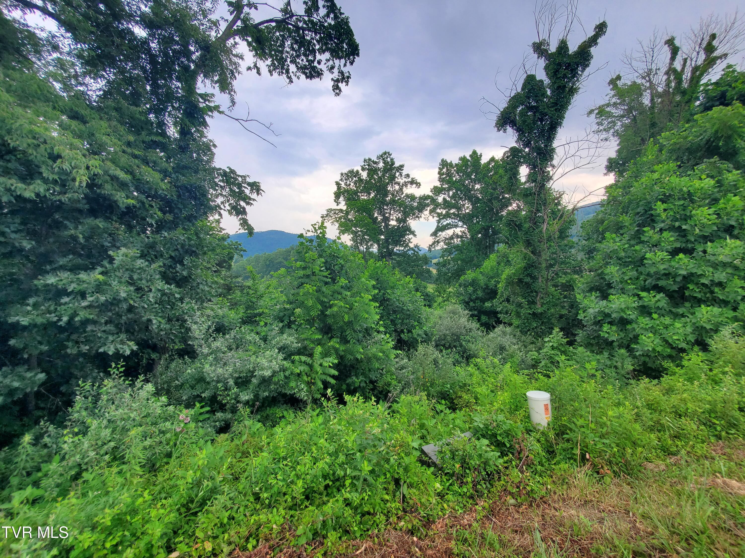 35 Dry Hill Road, Unit 35 Butler, TN 37640 - Photo 10 of 12 20250626_121100