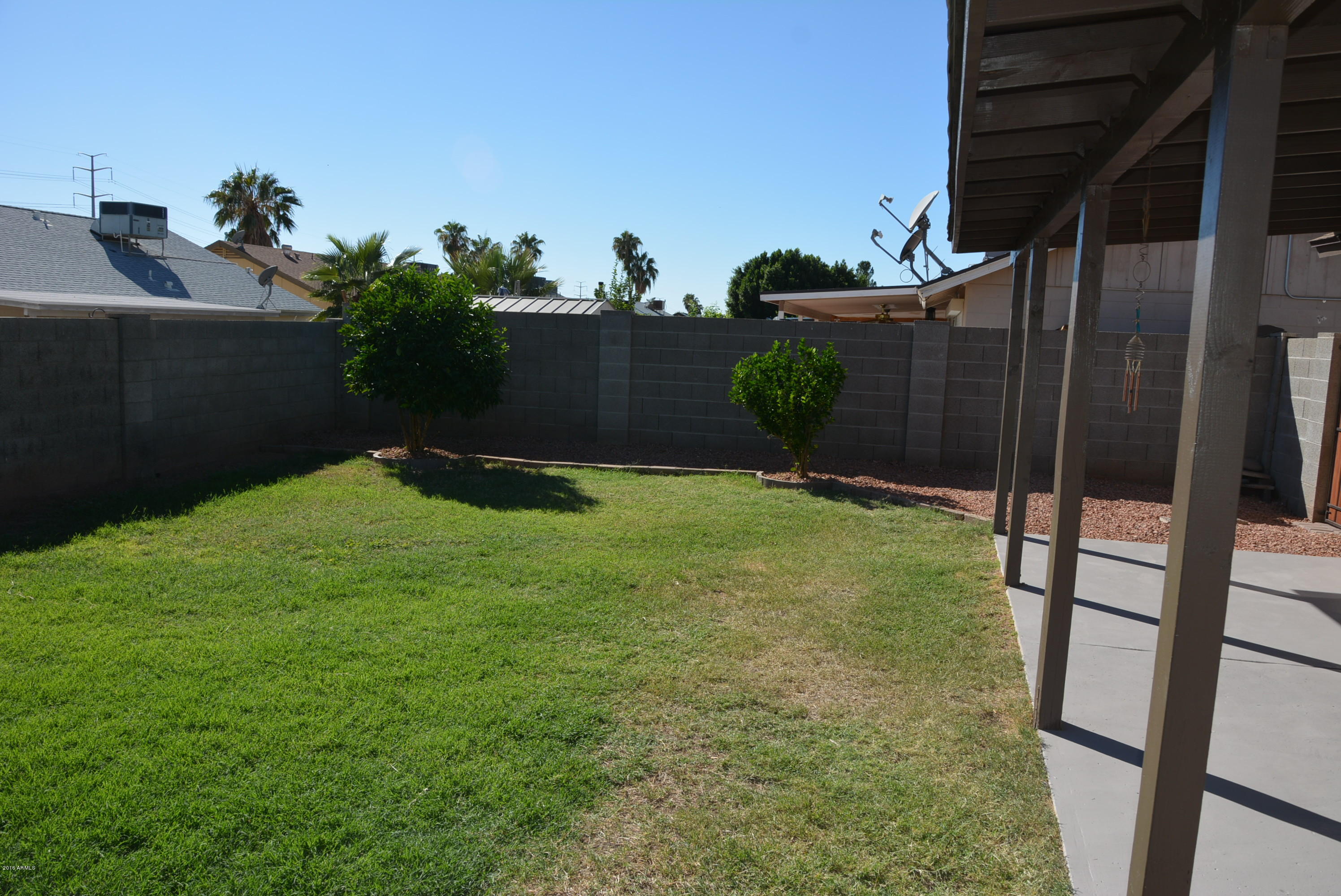 6315 Casper Road Mesa, AZ 85205 - Photo 18 of 21 Grass back with citus trees
