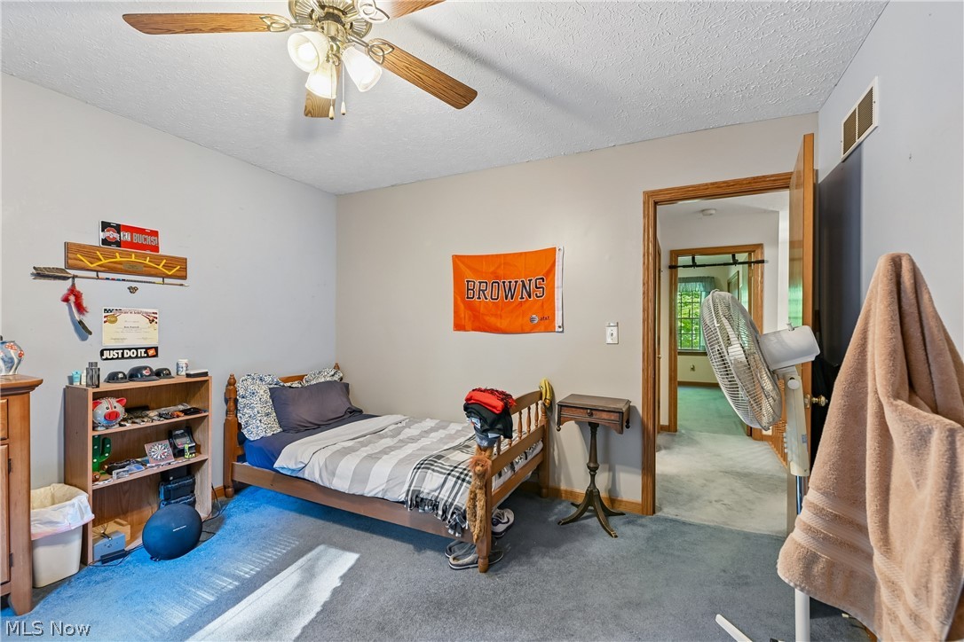 2660 South Medina Line Road Wadsworth, OH 44281 - Photo 35 of 48 Bedroom with ceiling / fan light, closet and carpet flooring