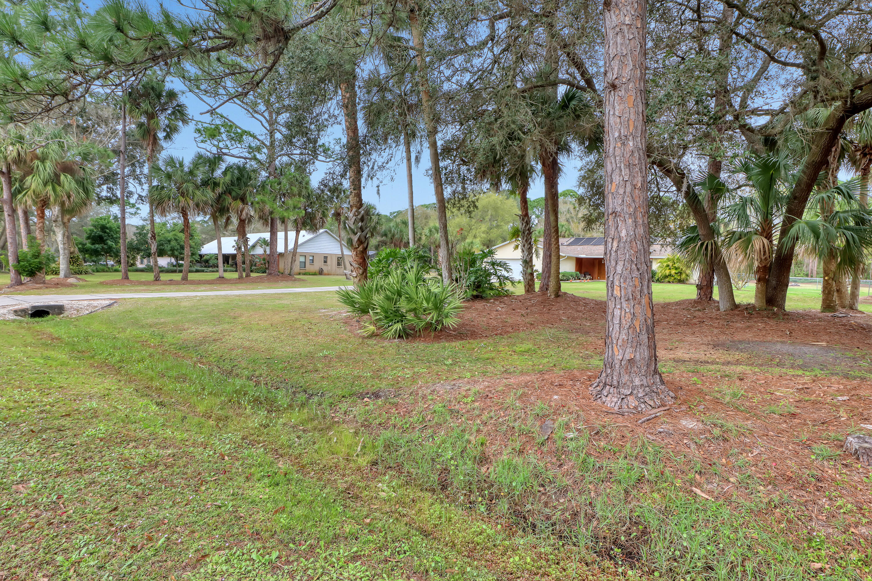 2160 Winston Drive Cocoa, FL 32926 - Photo 4 of 52 a view of a trees in a yard
