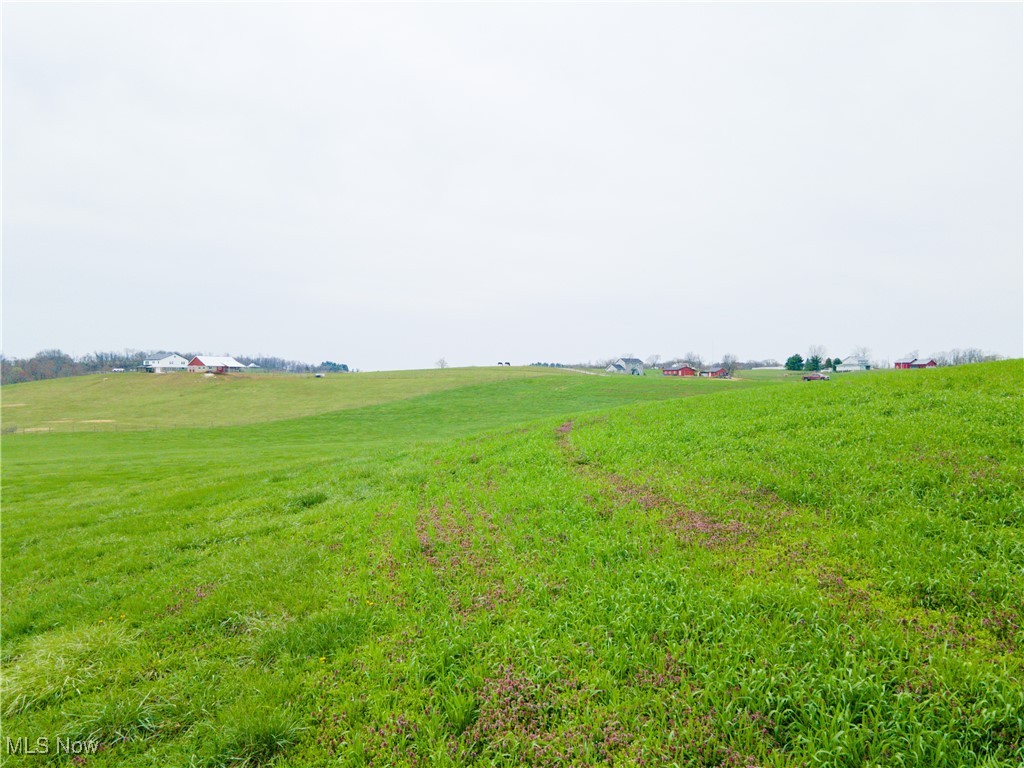 Hilltop Road Southwest Baltic, OH 43804 - Photo 10 of 32 Gallery Image 10