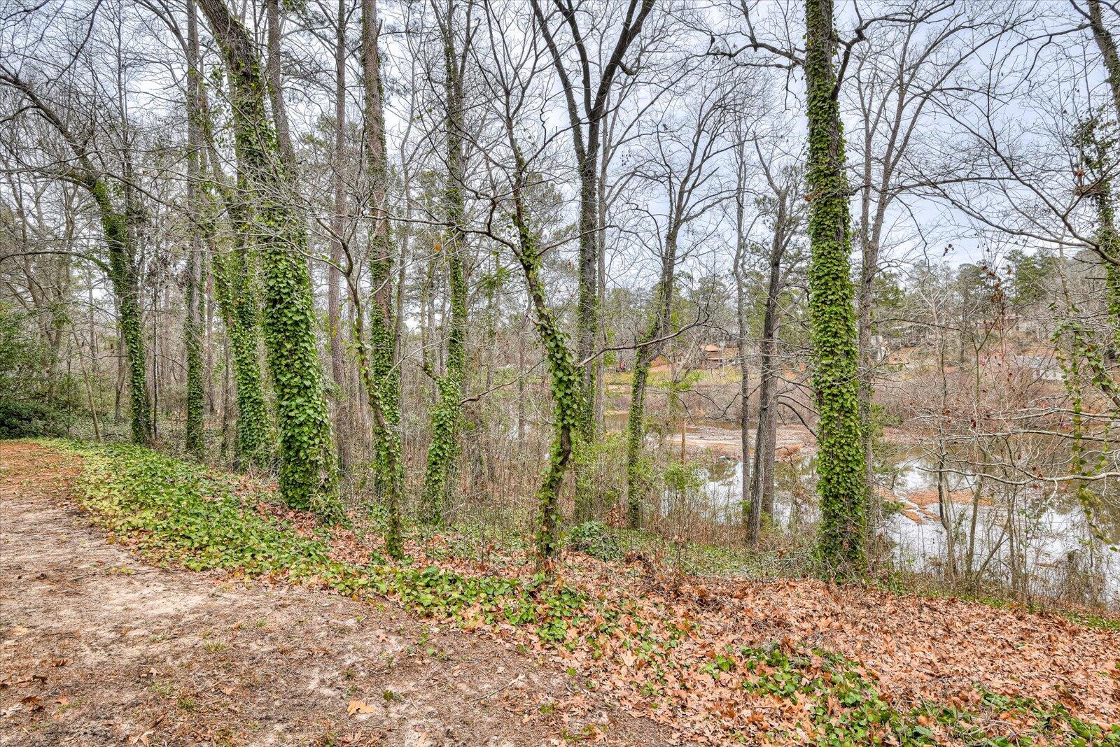 230 Old Mill Road Martinez, GA 30907 - Photo 50 of 54 56-156