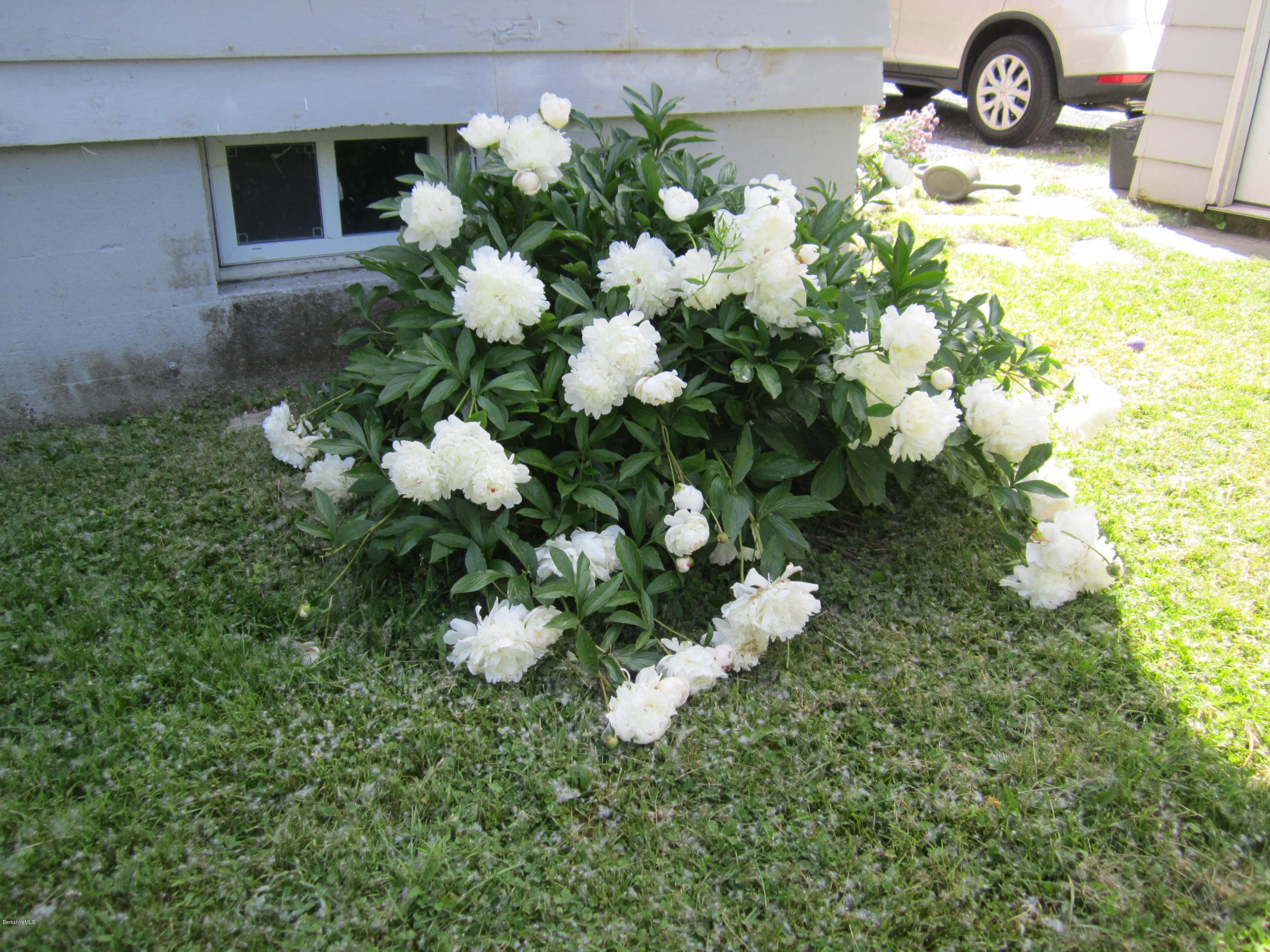 289 Gale Road Williamstown, MA 01267 - Photo 12 of 36 Peonies