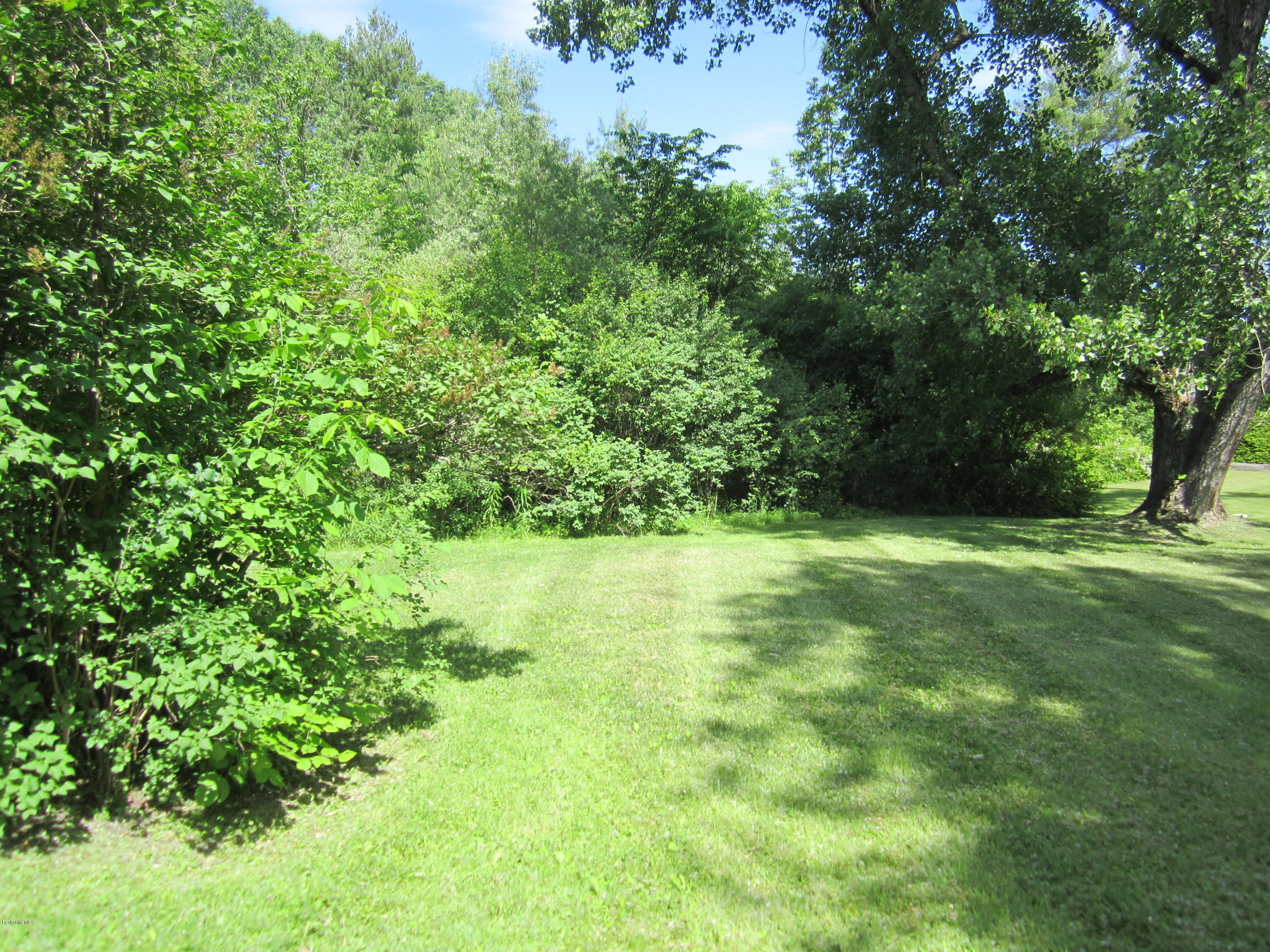 289 Gale Road Williamstown, MA 01267 - Photo 7 of 36 Buildable lot