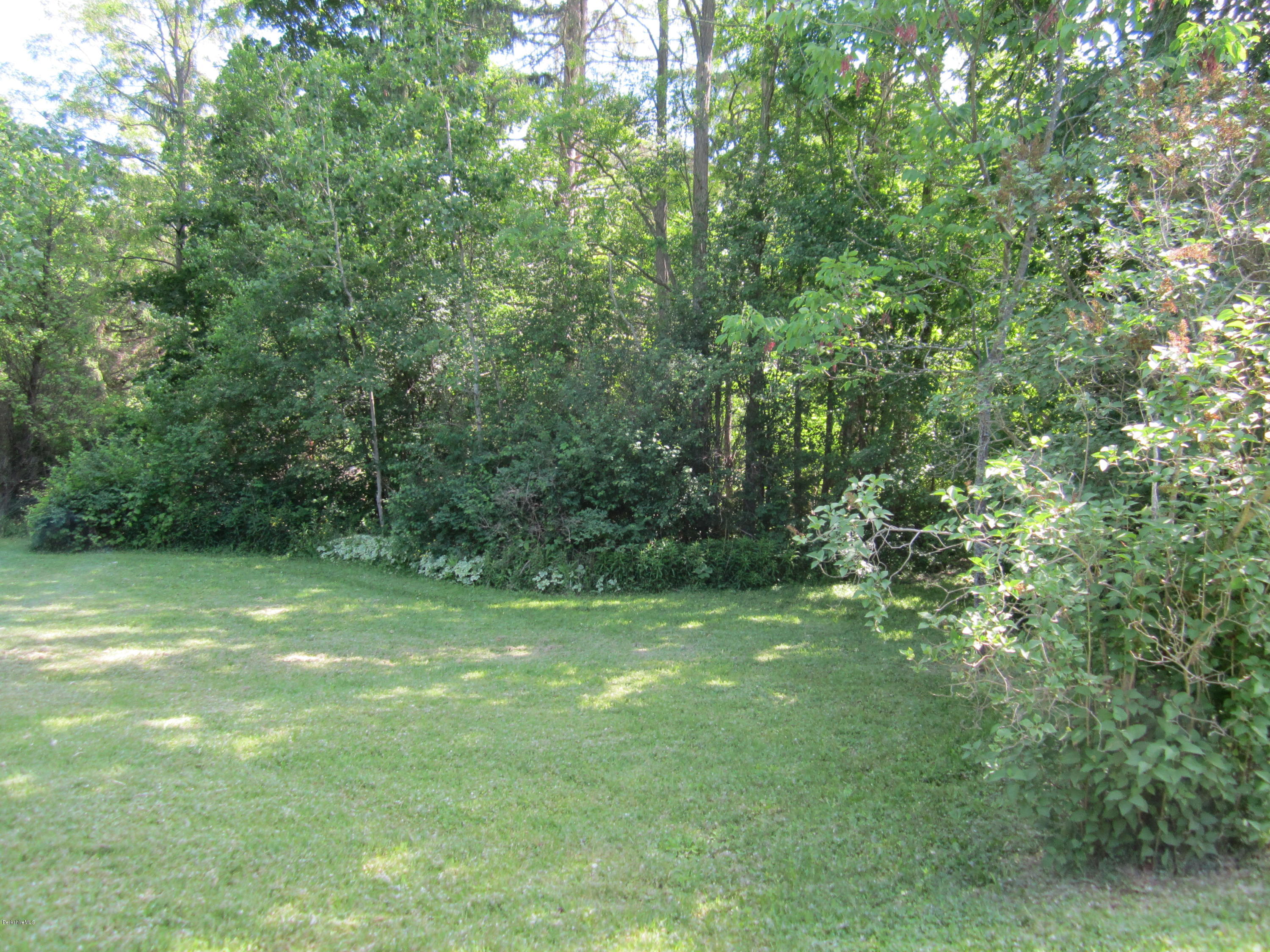 289 Gale Road Williamstown, MA 01267 - Photo 8 of 36 Buildable lot view 2