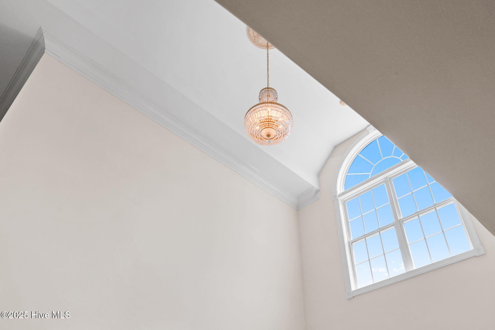 2649 Jessica Lane Southwest Supply, NC 28462 - Photo 41 of 61 45-web-or-mls-CAMMediaLLC.com (48 of 62)