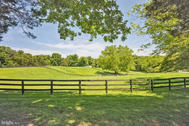a view of a bench in a yard