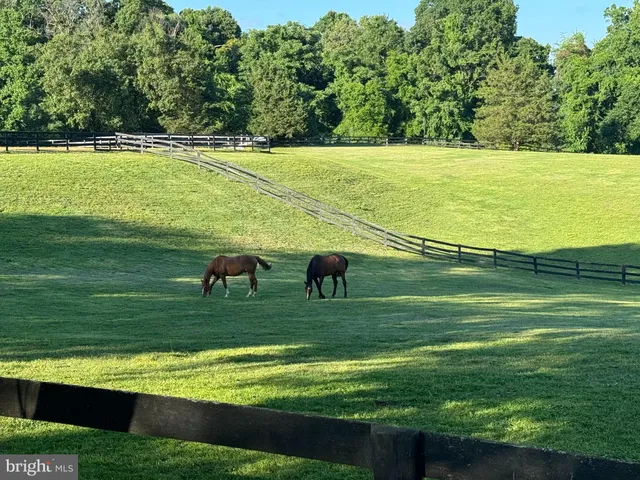 a view of a golf course with a lake