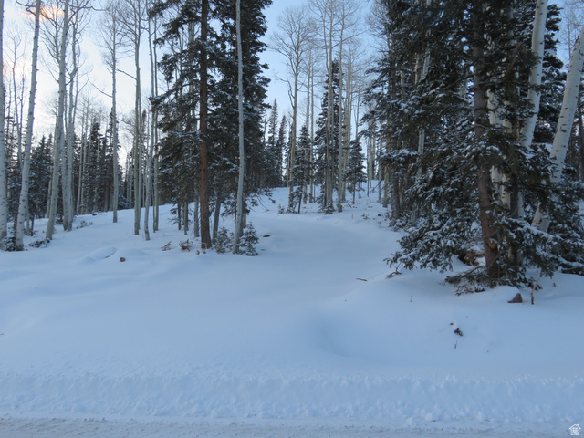 6 Tushar Mountain Estates, Unit 6 Beaver, UT 84713 - Photo 12 of 16 Snow-covered terrain featuring a dense forest of evergreen and aspen trees